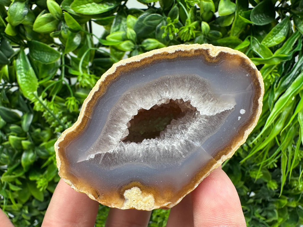 Blue Agate Druzy Geode: Natural Quartz Crystal (7/6.5/5.5cm)