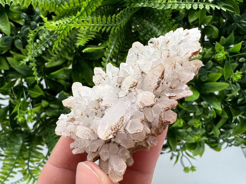 Quartz whit Brown Rhodochrosite from Djurcovo mine,Bulgaria,Quartz,Rhodochrosite cluster,natural mineral,collection crystal,mineral specimen