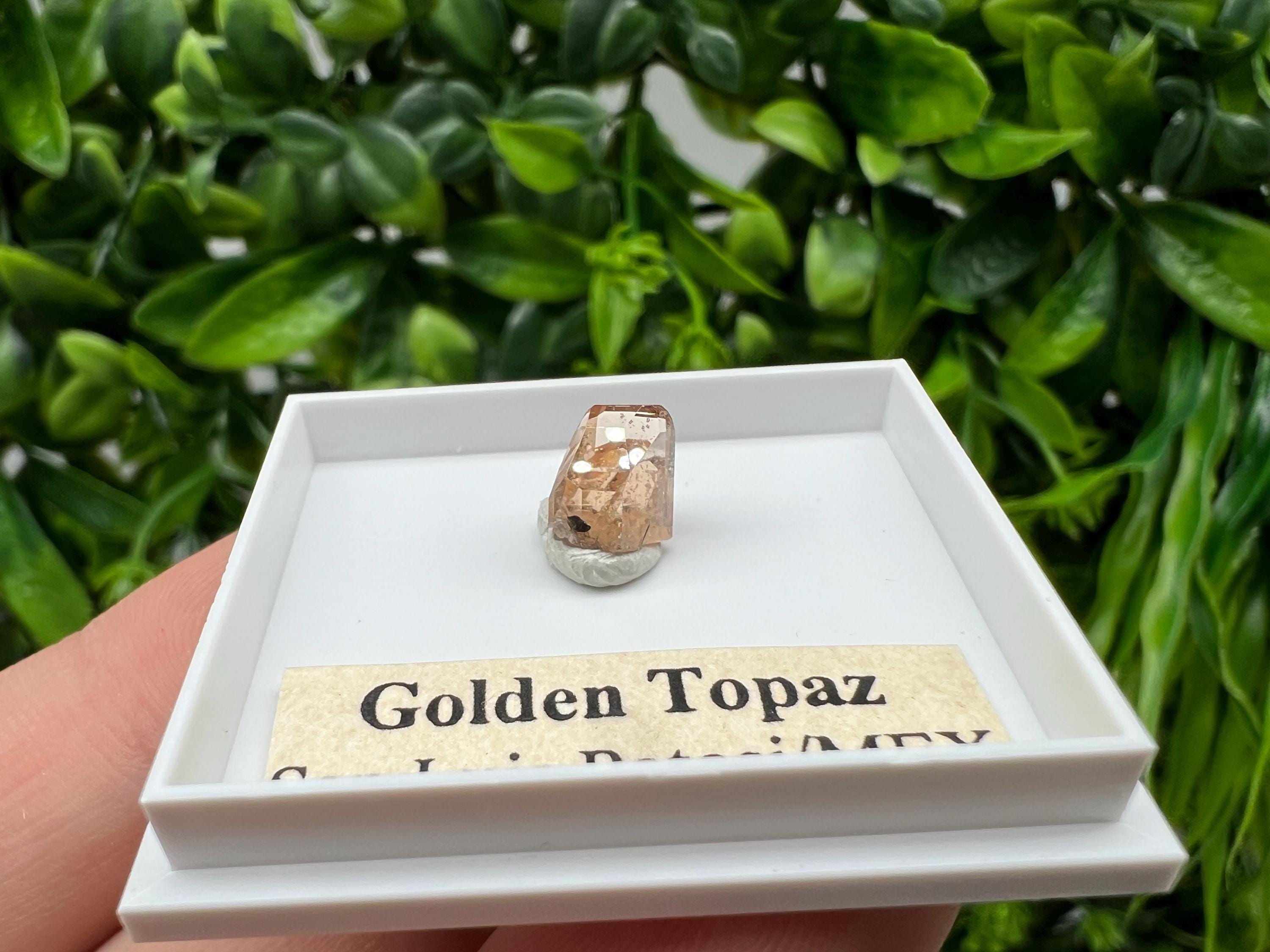Golden Topaz Crystal, Mexico Mineral Specimen, Collectible