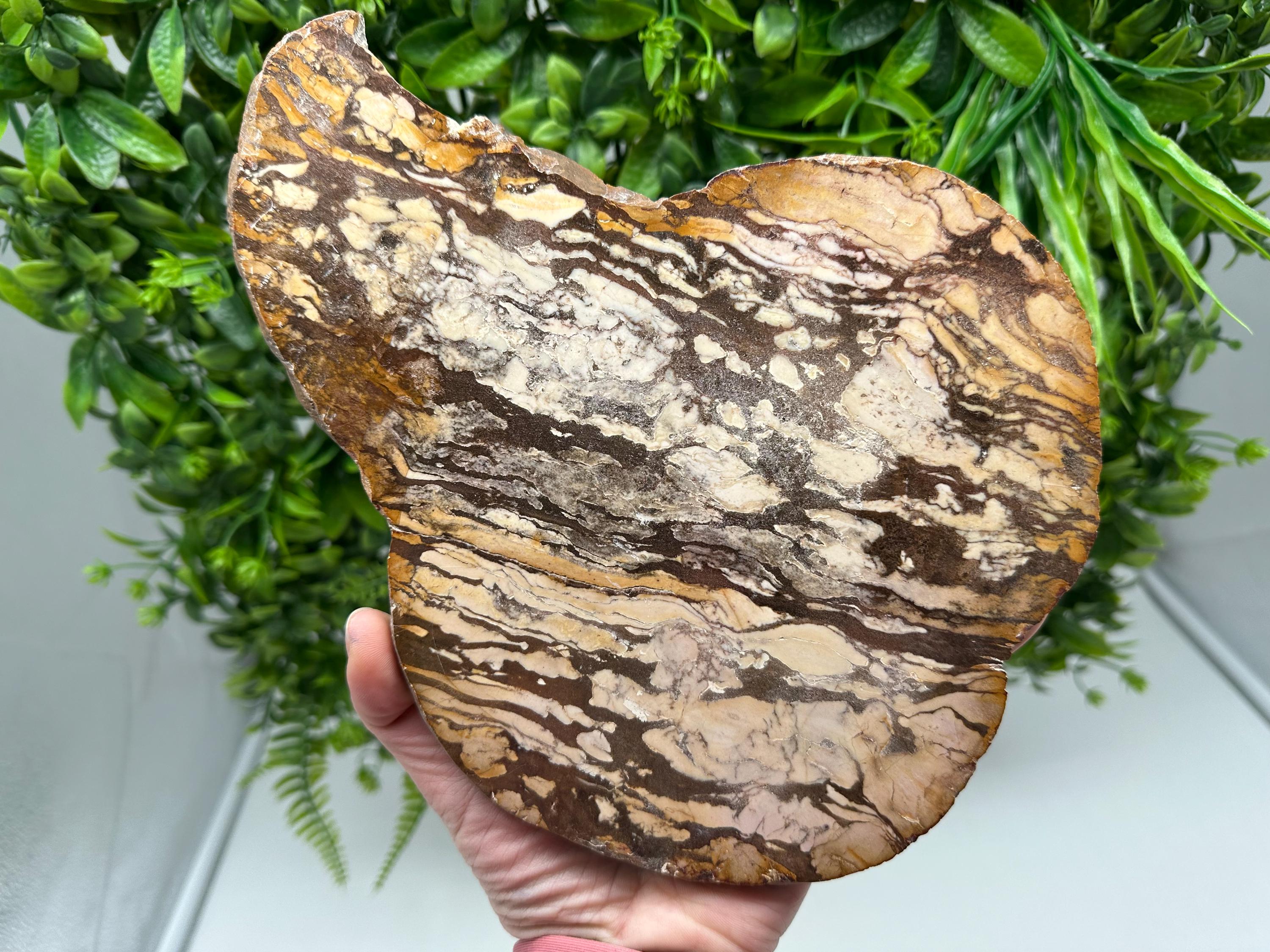 Polished Landscape Jasper Slab – Natural Scenic Stone Slice, Grounding Decor Specimen