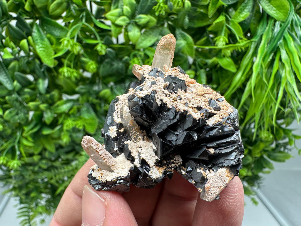 Wonderful Sphalerite Chalcopyrite on Green Quartz whit Hematite feom 9 th September mine,Bulgaria,natural,collection mineral specimen,gift