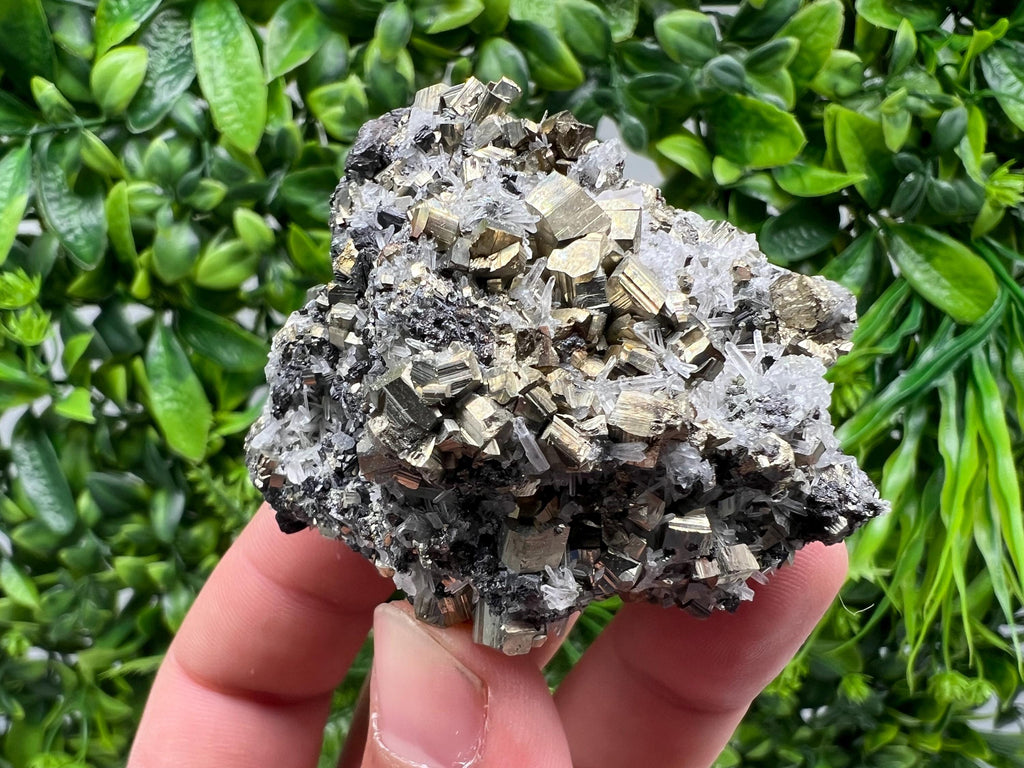 Rainbow Pyrite on Quartz, Natural Mineral Specimen, Borieva Bulgaria