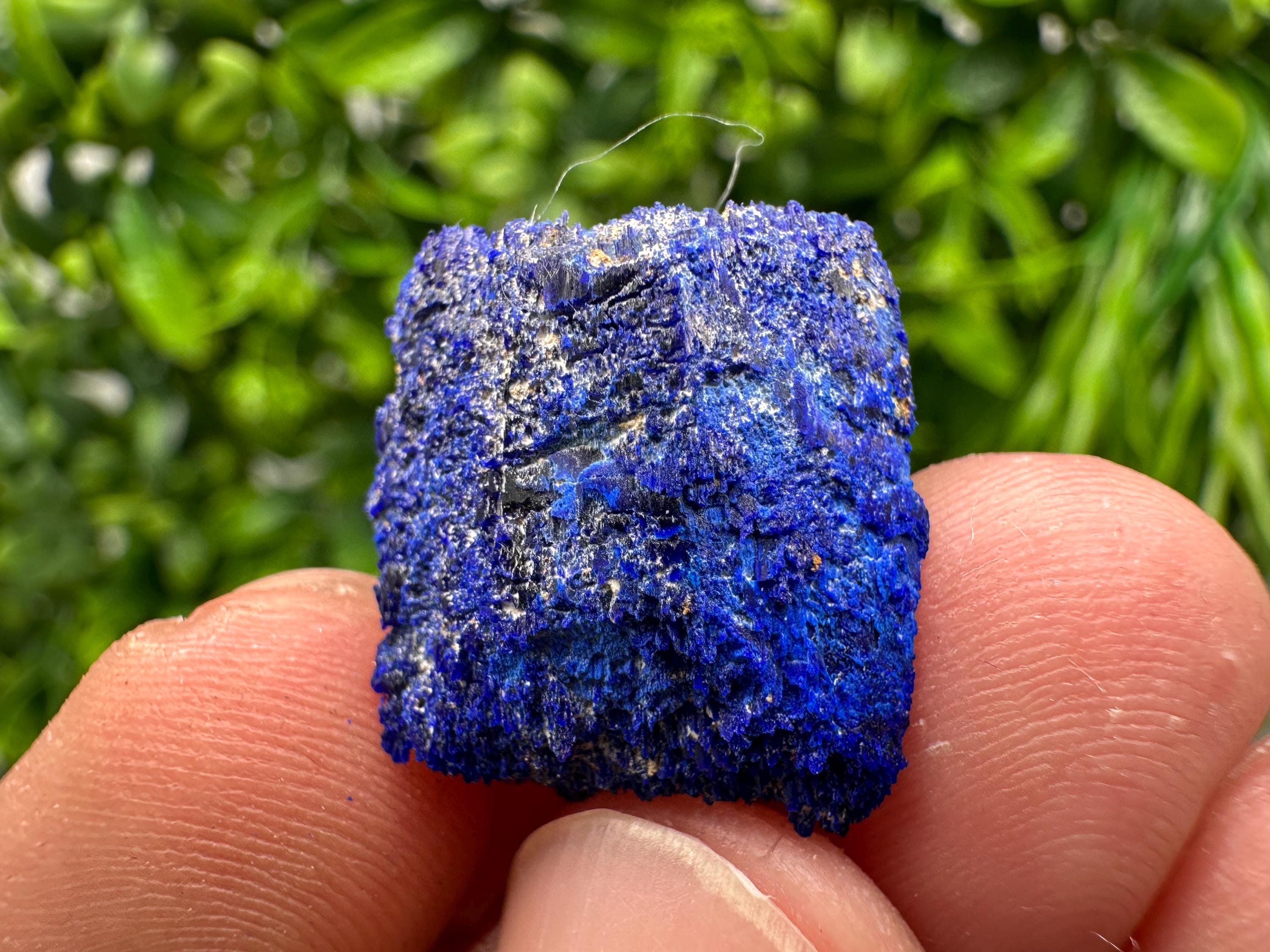 Crystallized Azurite-Kerrouchen,Morocco-Blue Azurite Specimen-High Quality Blue Azurite-Azurite Mineral Specimen, gemmy,lustrous of Azurite