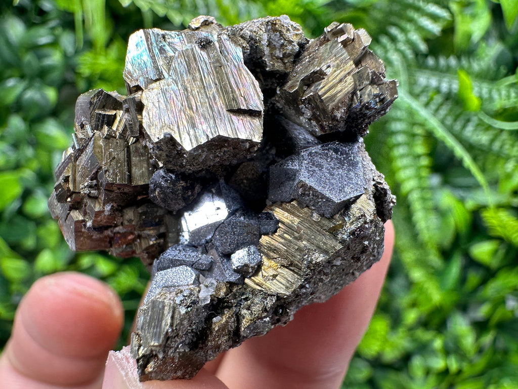 Pyrite with Hematite Specimen, Madan Bulgaria Mineral Gift