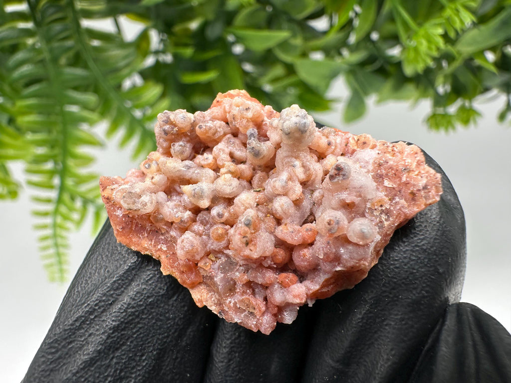 Stunning Red Chalcedony from Morocco,Morocco Minerals,Crystals,rare red Chalcedony,Red Crystal,Mineral Specimen,red minerals,souvenir gift