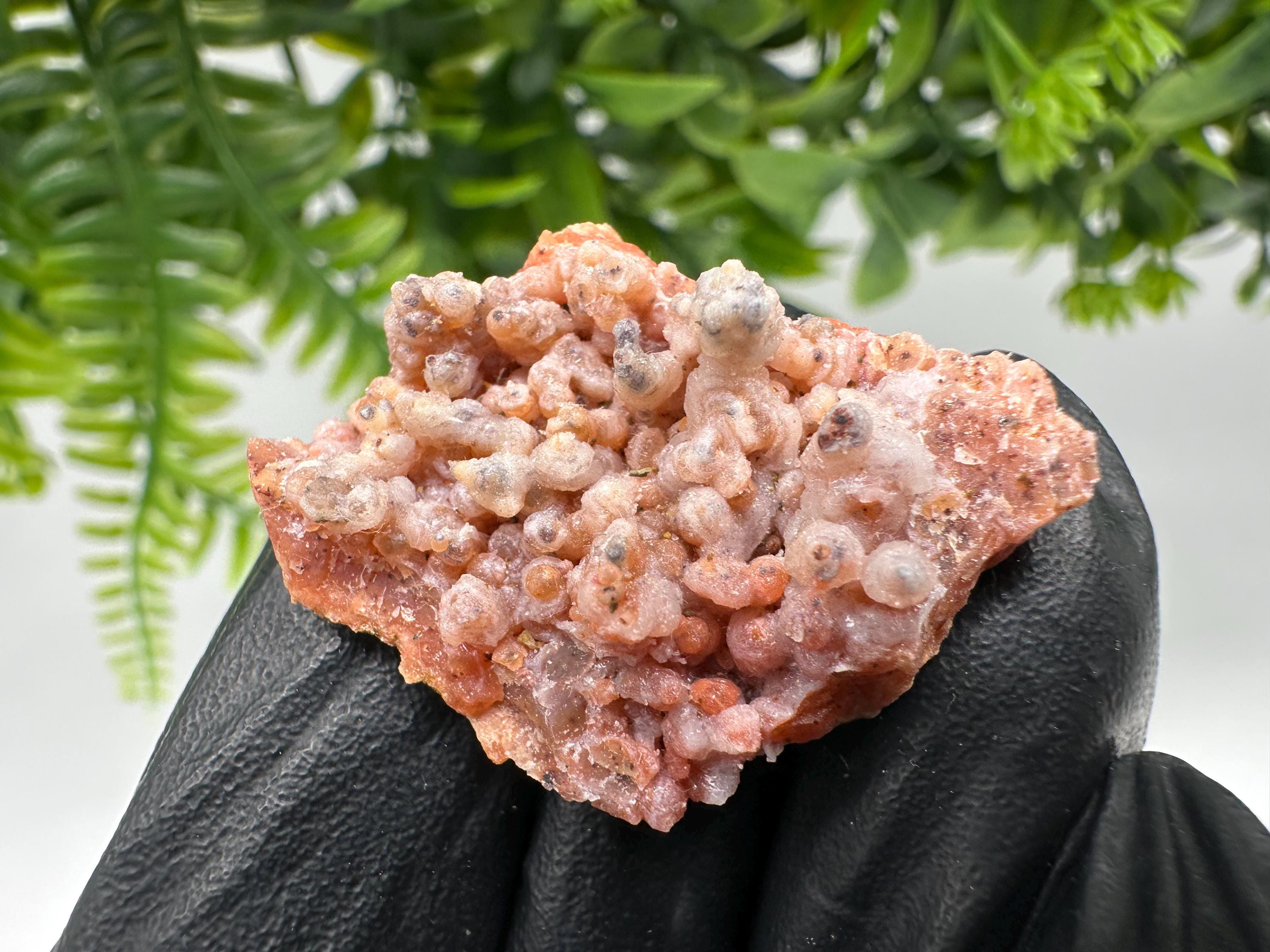 Stunning Red Chalcedony from Morocco,Morocco Minerals,Crystals,rare red Chalcedony,Red Crystal,Mineral Specimen,red minerals,souvenir gift
