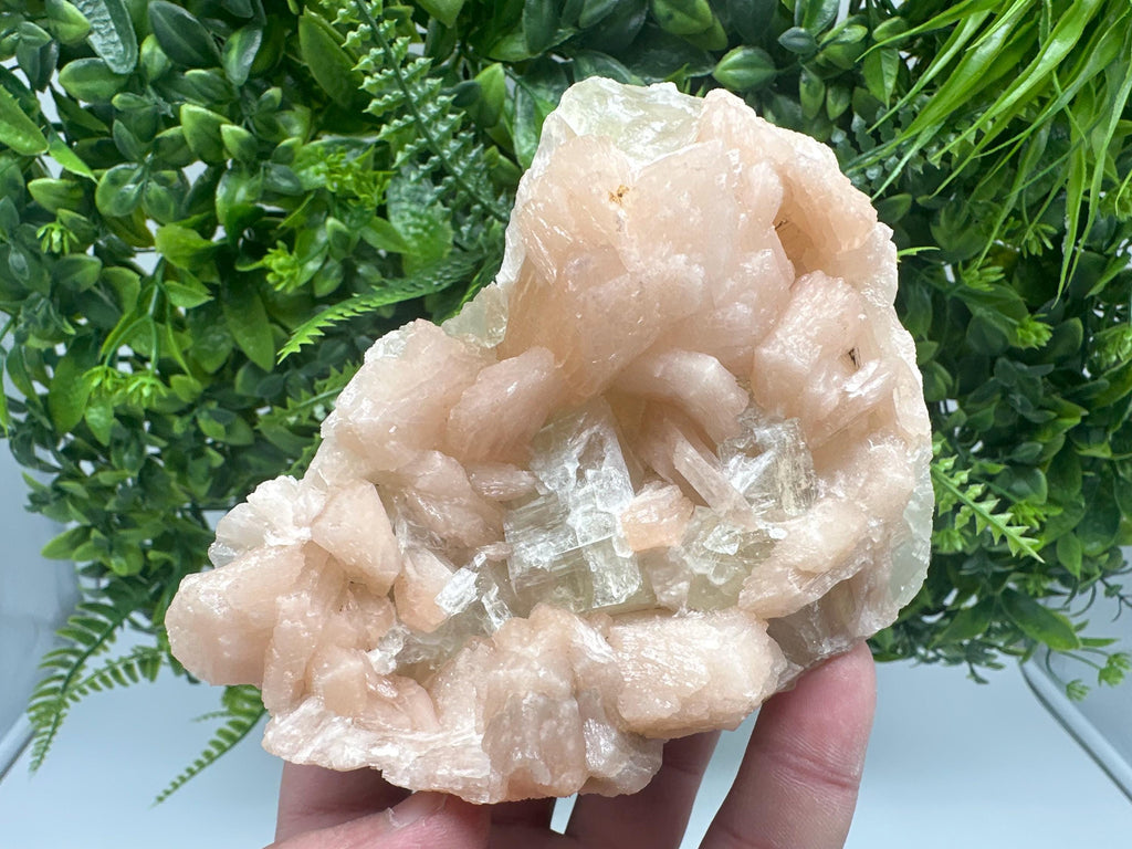 Apophyllite Stilbite on Chalcedony, India Crystal Specimen