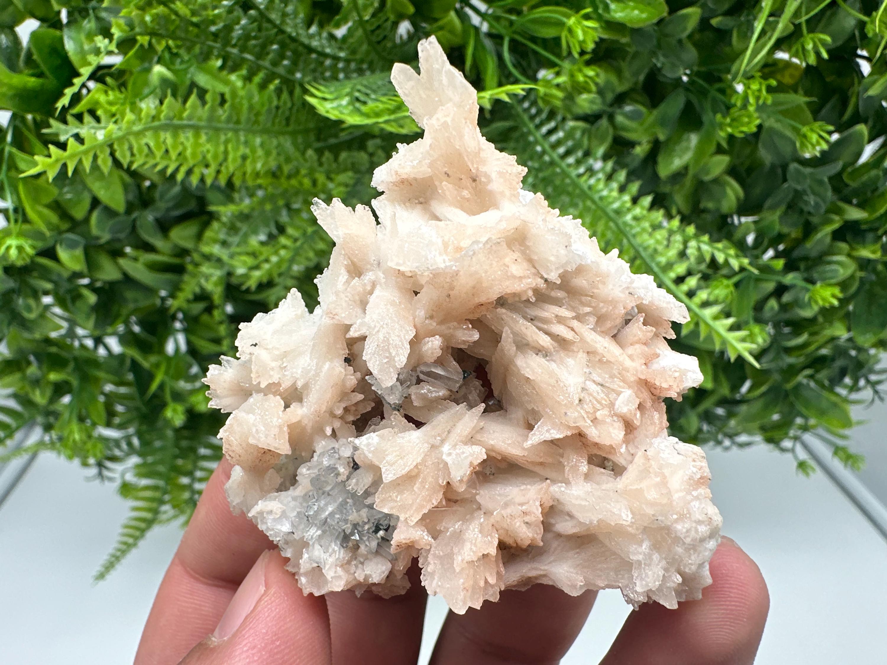 Calcite on Green Quartz: Djurcovo Mine, Bulgaria Crystal