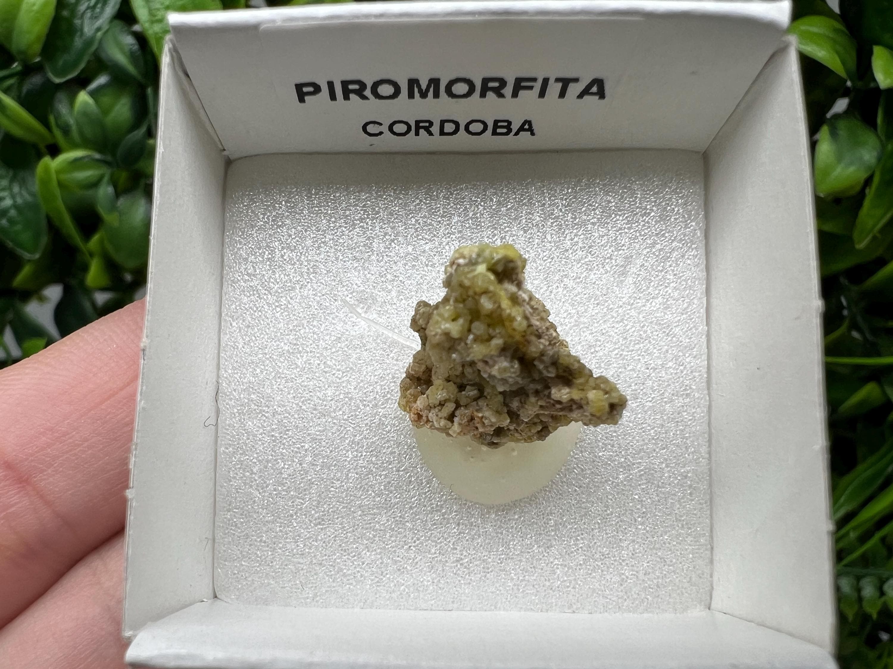 Pyromorphite Stone / Pyromorphite on Matrix / Pyromorphite Crystal / Raw Crystal / Pyromorphite Cluster / Rough Pyromorphite / Pyromorphite