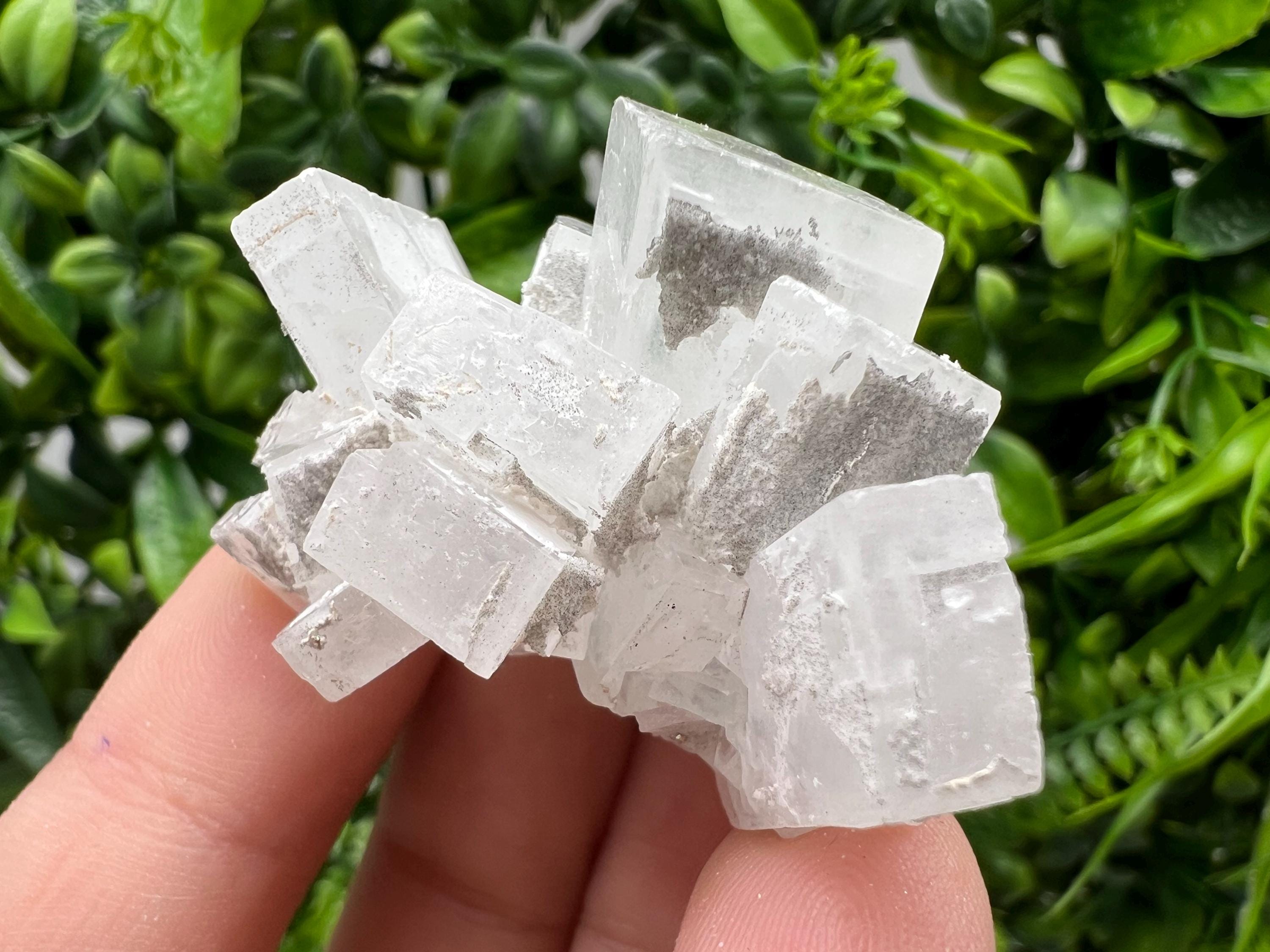 Barite Marcasite Chalcedony Cluster, Androvo Mine Bulgaria