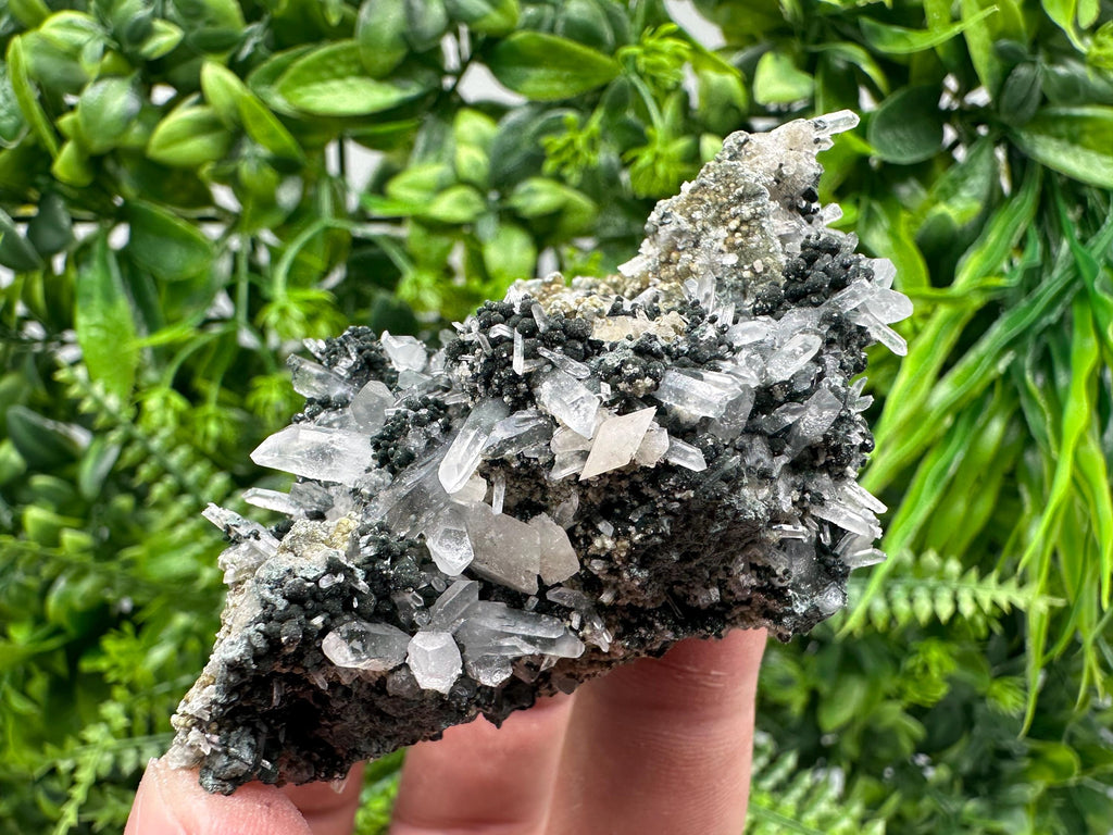 Transparent Quartz on Chlorite Matrix, Bulgaria Mineral Specimen