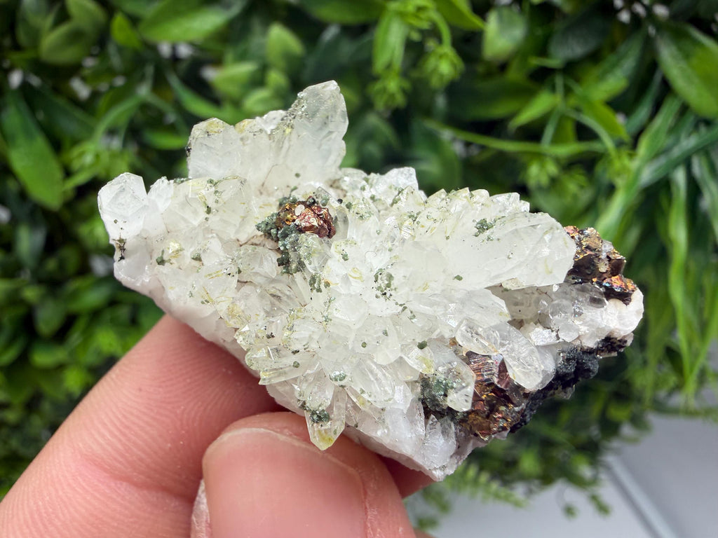 Pyrite Galena on Green Quartz, Chlorite Mineral Specimen, Bulgaria