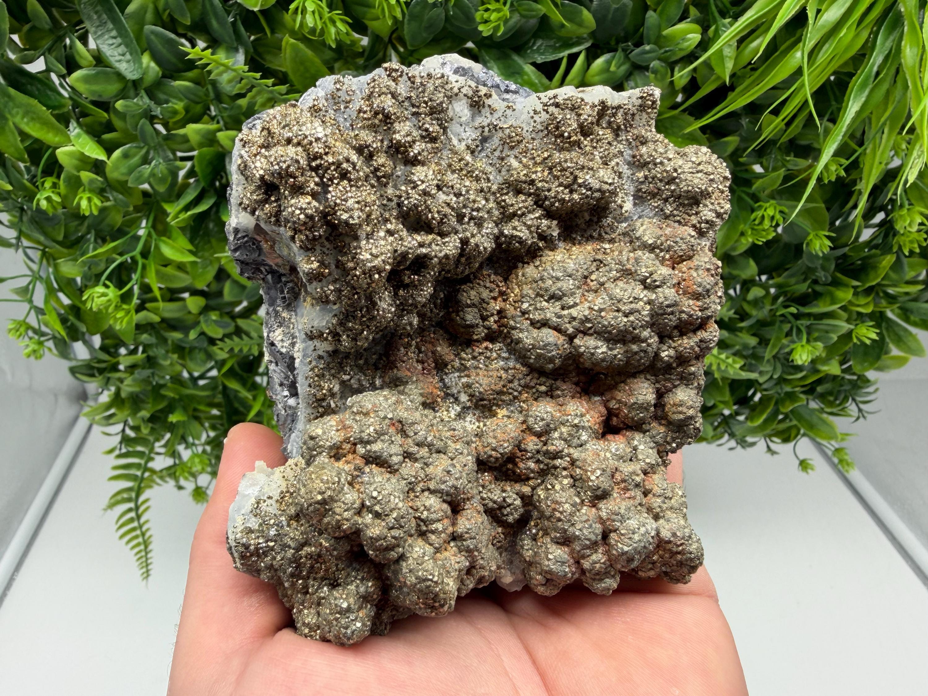 Marcasite on Chalcedony, Androvo Mine, Bulgaria