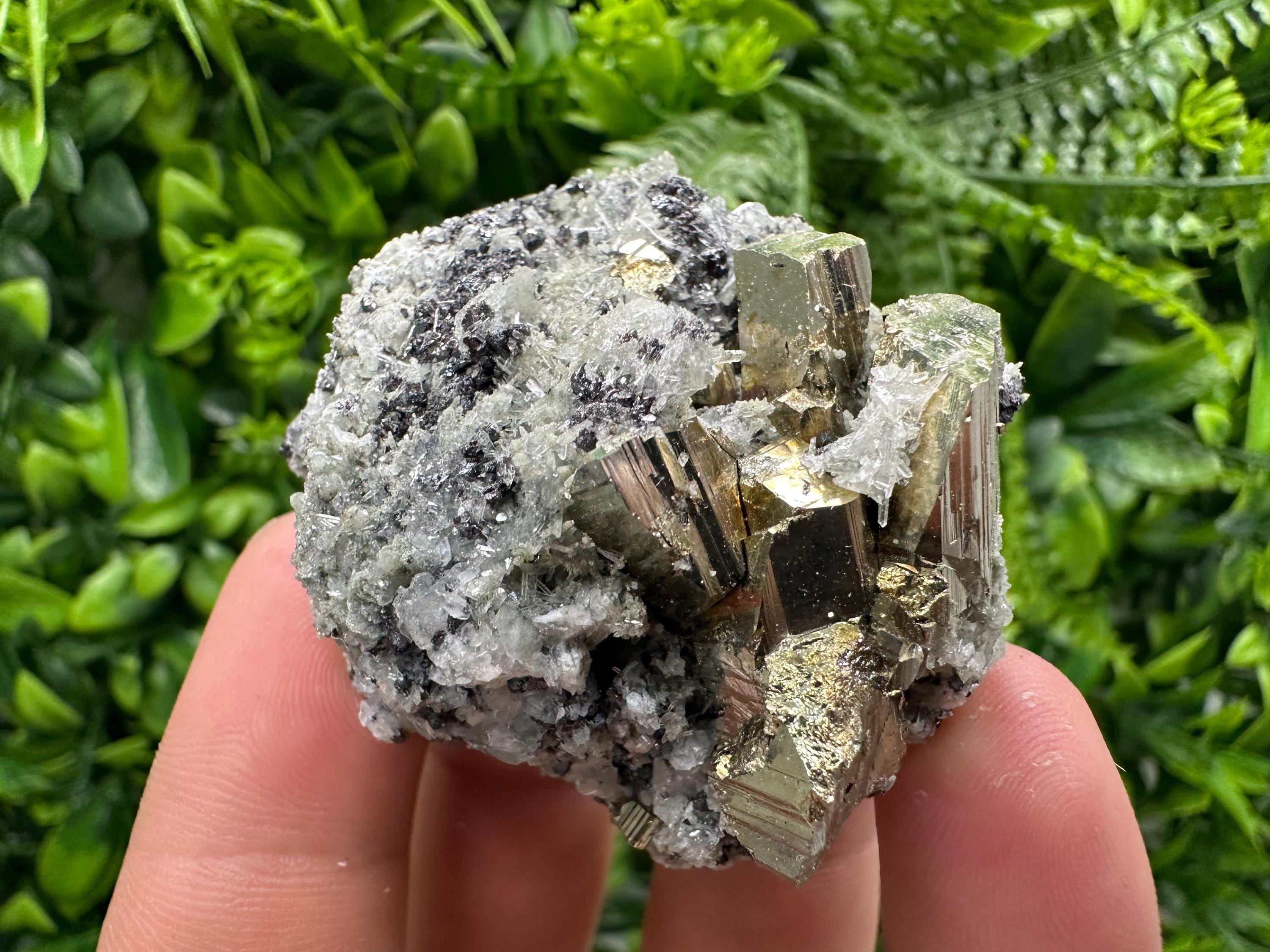Sphalerite Pyrite on Quartz with Chlorite, Borieva Mine Mineral Specimen