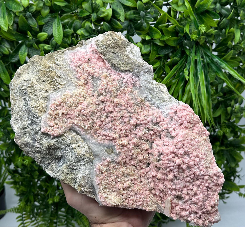 Large Rhodochrosite with Stilbite & Quartz, Bulgarian Mineral Specimen