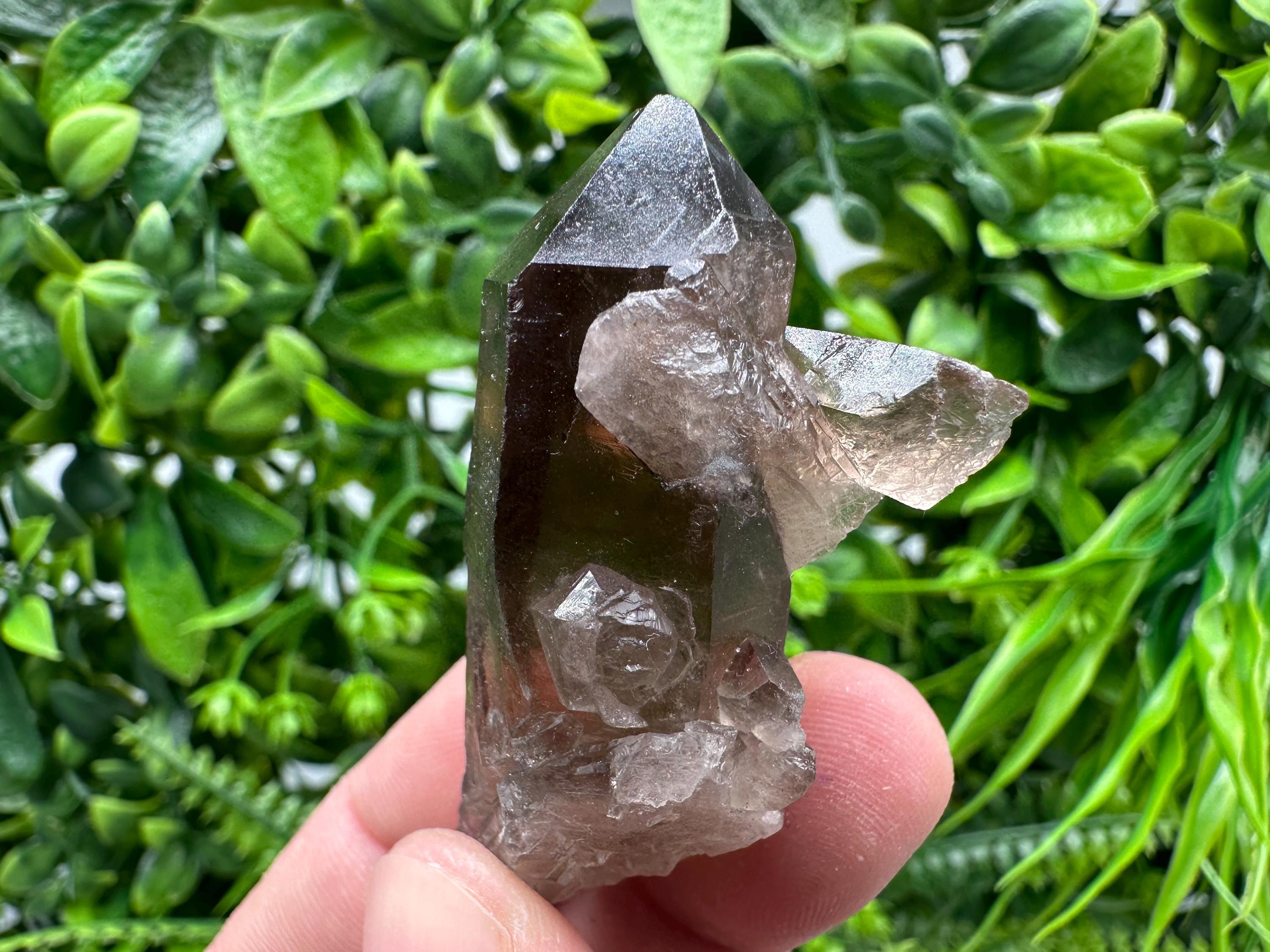 Rare Smoky Quartz Crystal Specimen, Brazil
