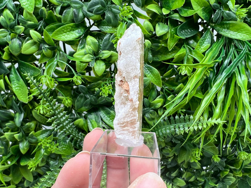 Golden Phantom Selenite Slab: Utah Raw Crystal Wand