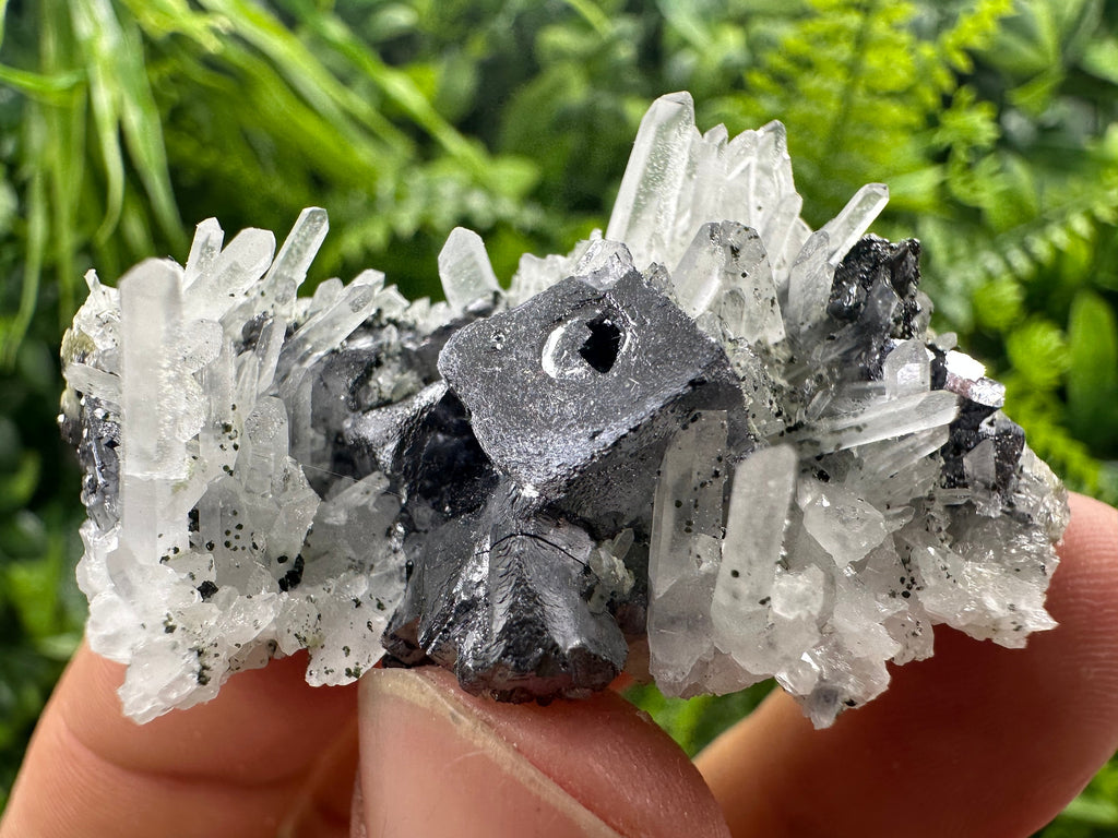 Galena on Quartz Mineral Specimen, Bulgaria Origin
