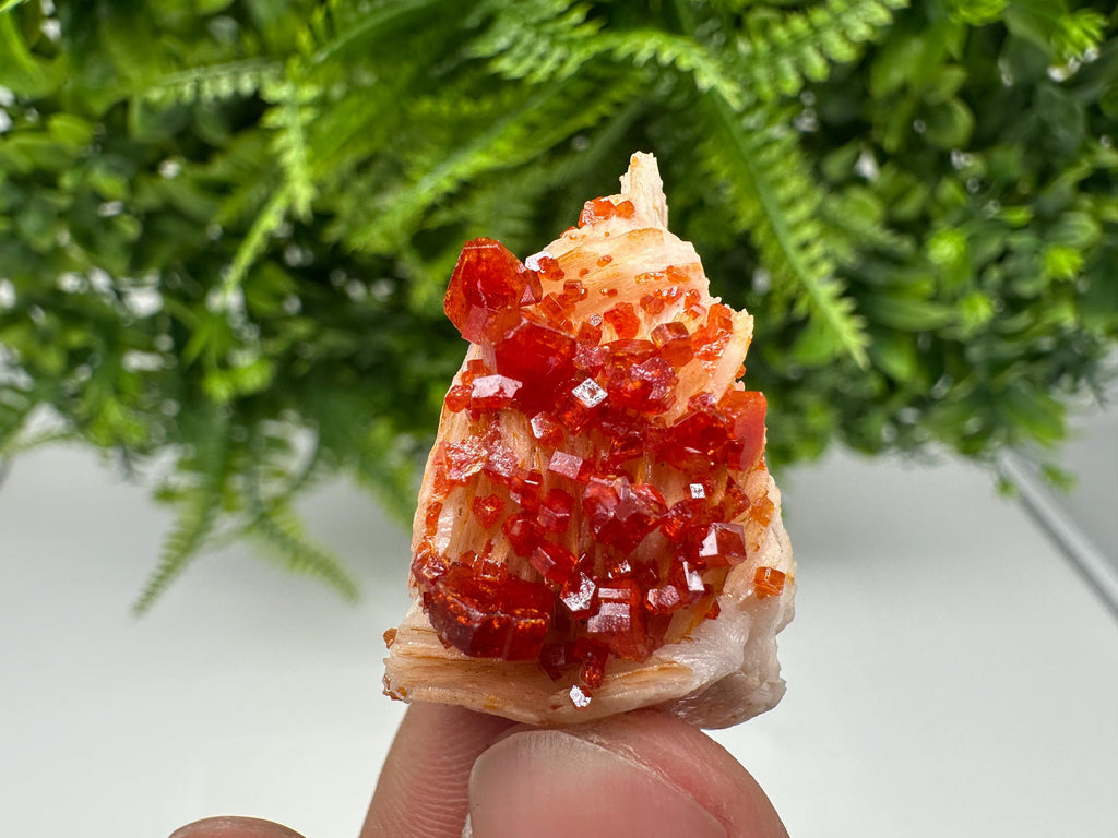 Red Vanadinite on Barite from Marocco,crystal minerals Speciment cluster Vanadinite crystal Vanadinite Geology Vanadinite cluster minerals