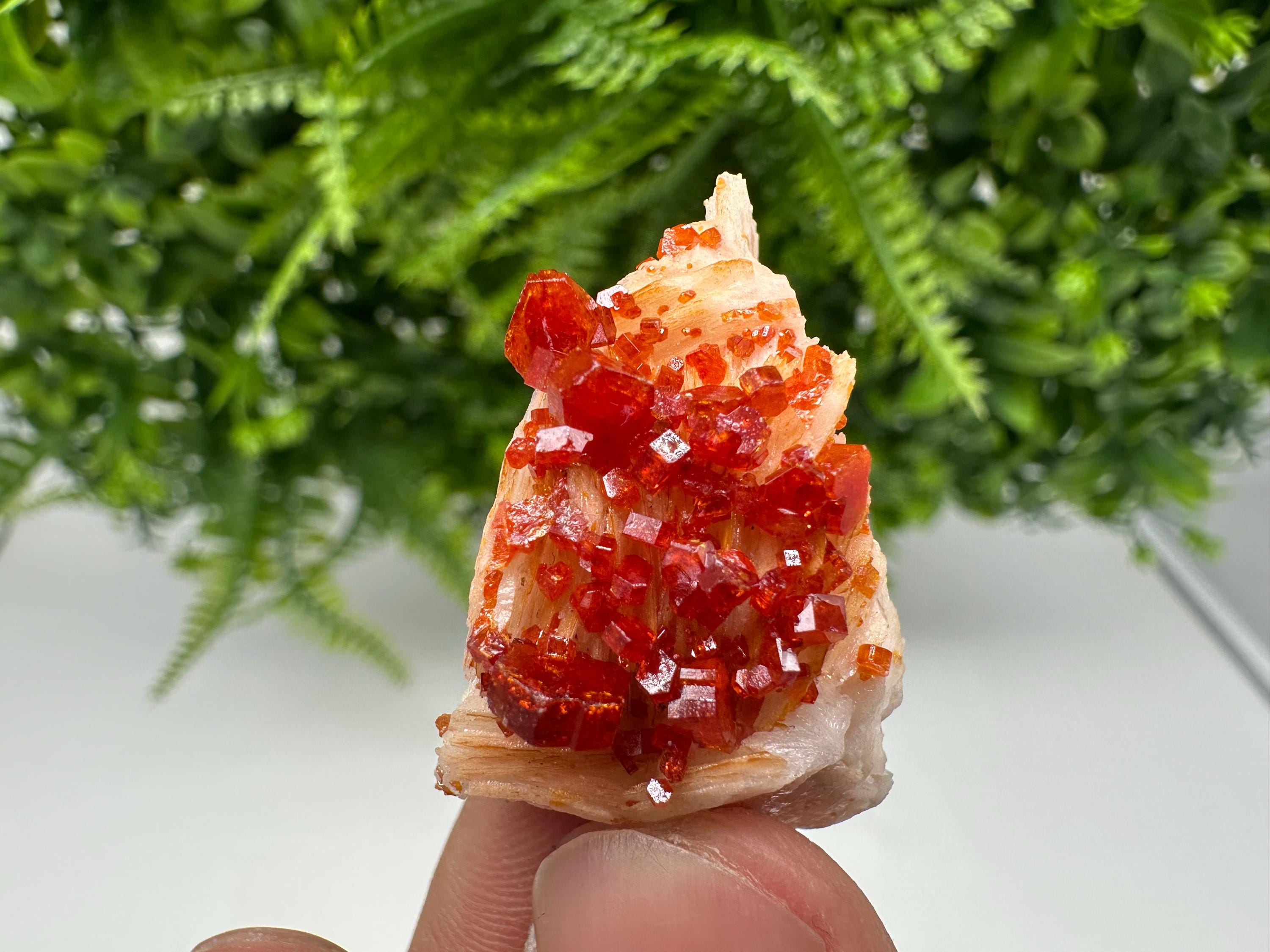 Red Vanadinite on Barite from Marocco,crystal minerals Speciment cluster Vanadinite crystal Vanadinite Geology Vanadinite cluster minerals