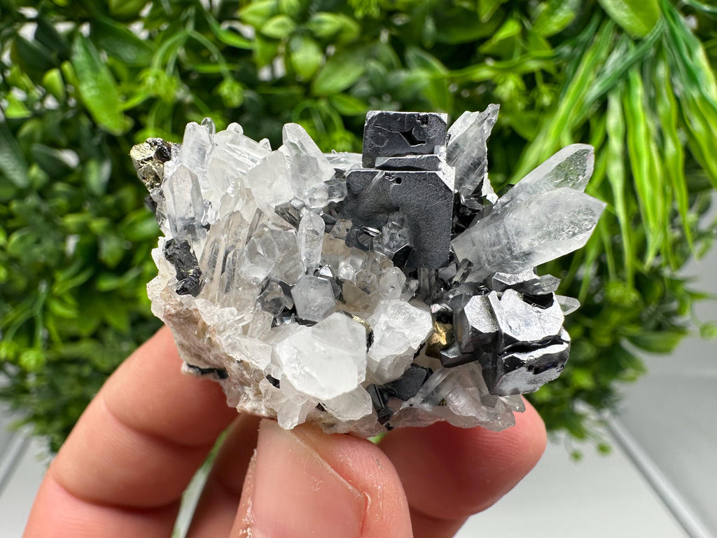 Aesthetic Natural shiny Galena whit Siderite and Quartz from 9 th September mine,Bulgaria,collection specimen,rare galena,Galena cluster