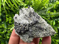 Sphalerite Pyrite on Quartz with Chlorite, Borieva Mine Mineral Specimen