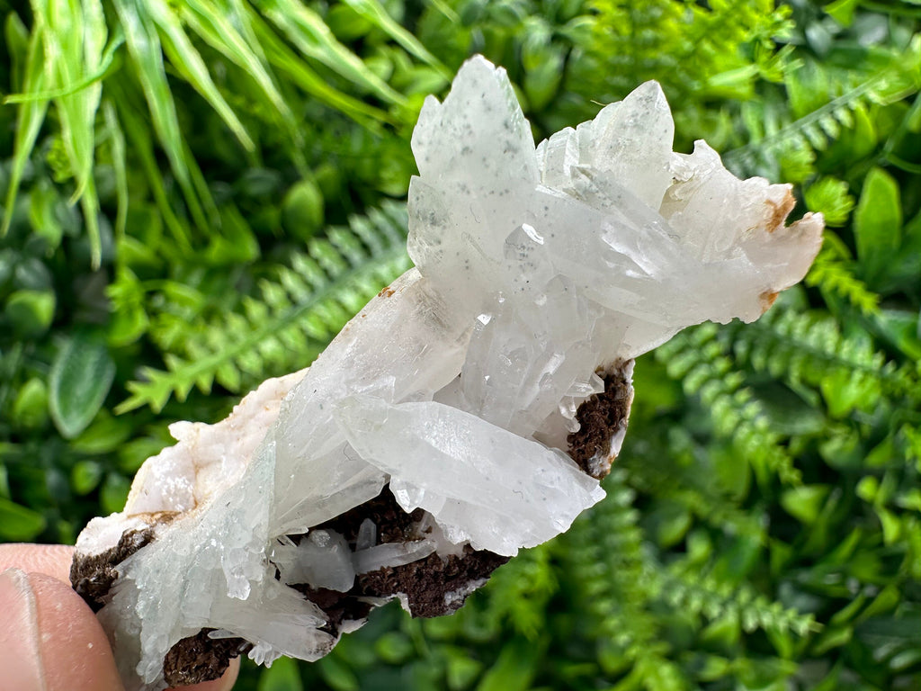 Quartz with Chlorite, Rhodochrosite, and Siderite Mineral Specimen
