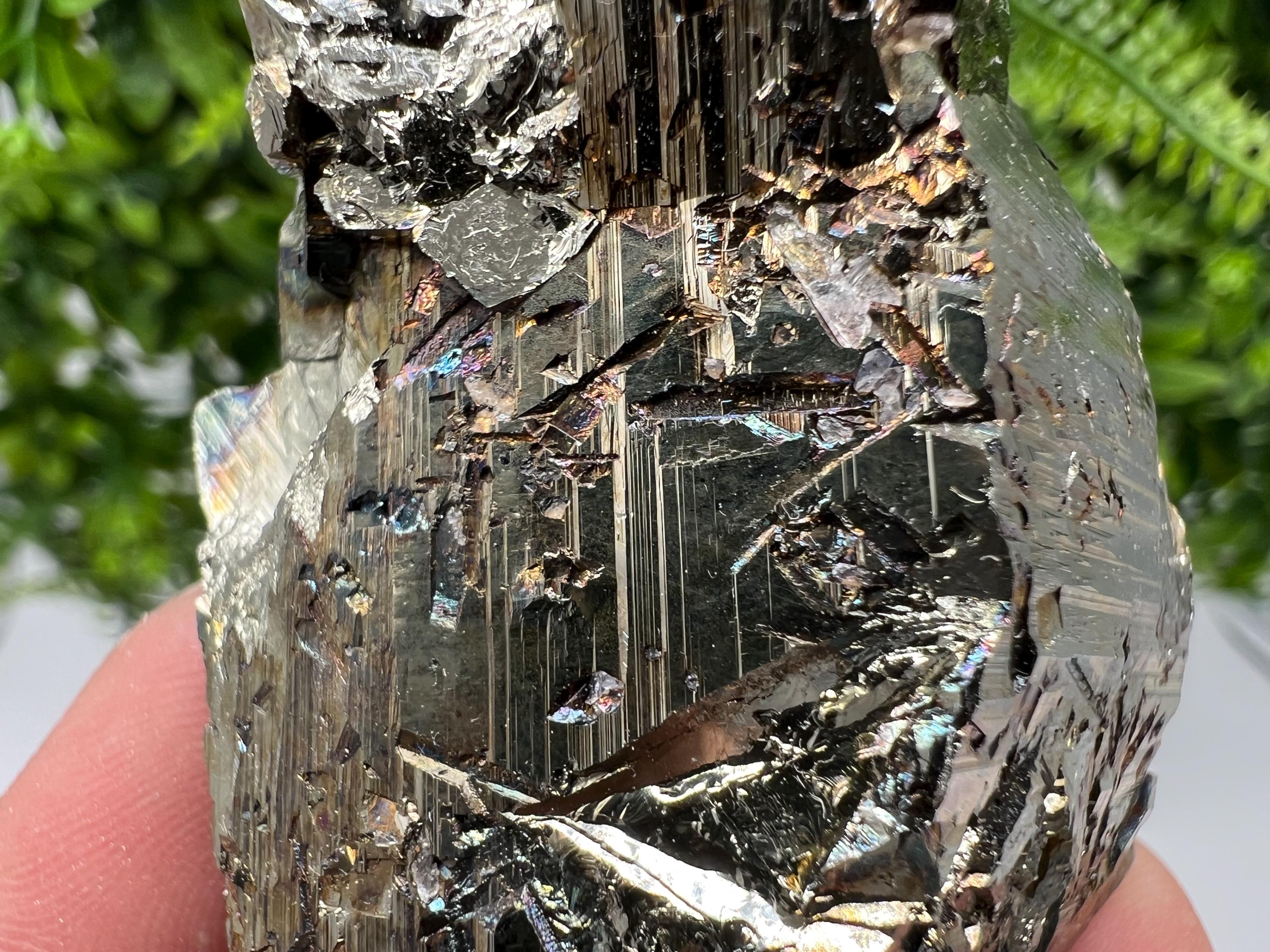 Rainbow Pyrite Hematite Cluster: Borieva Mine, Bulgaria