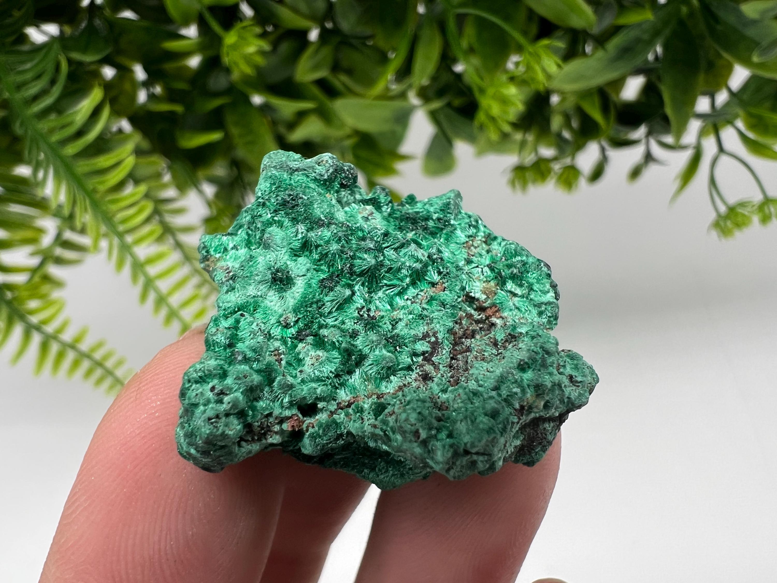 Malachite Crystal from Congo,Minerals,Crystals from Congo,Green Malachite, Malachite,Natural Malachite,Malachite Stone,Chakra, Specimens