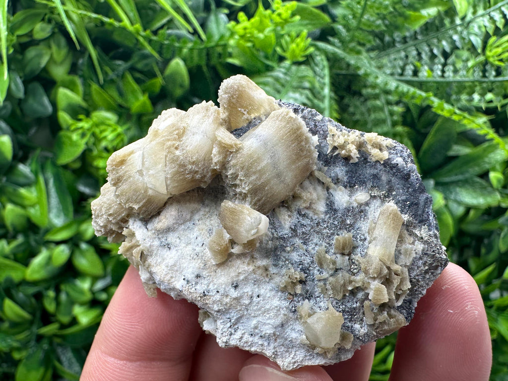 Rare Calcite Cluster on Matrix, Bulgarian Mineral Specimen