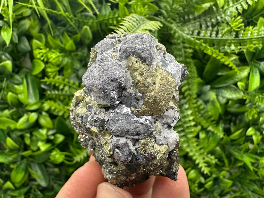 Chalcopyrite with Galena Mineral Specimen: Krushev Dol Mine, Bulgaria