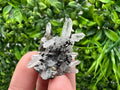Wonderful Sphalerite Chalcopyrite on  Quartz whit Galena feom 9 th September mine,Bulgaria,natural,collection mineral specimen,gift