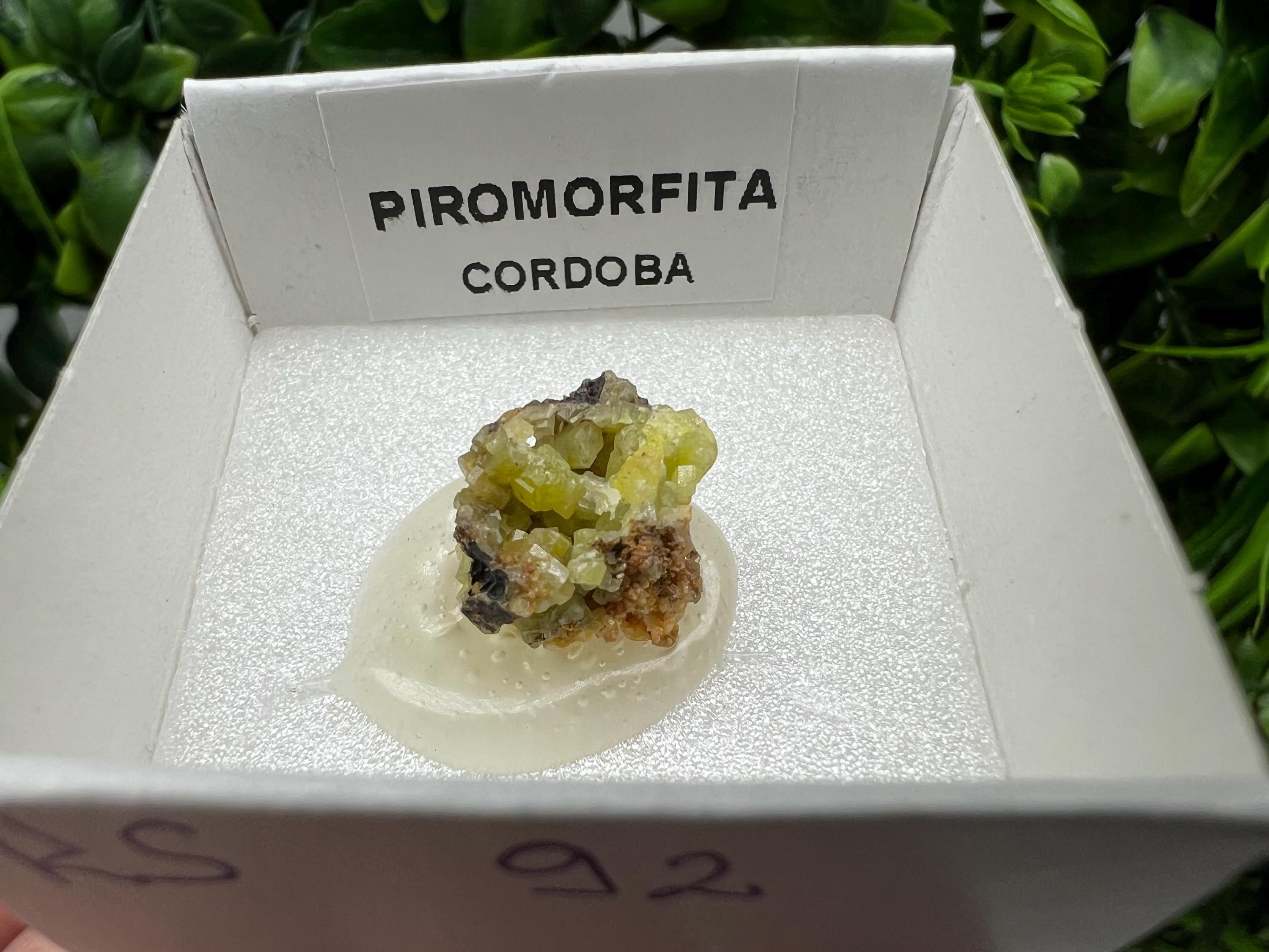 Pyromorphite Stone / Pyromorphite on Matrix / Pyromorphite Crystal / Raw Crystal / Pyromorphite Cluster / Rough Pyromorphite / Pyromorphite