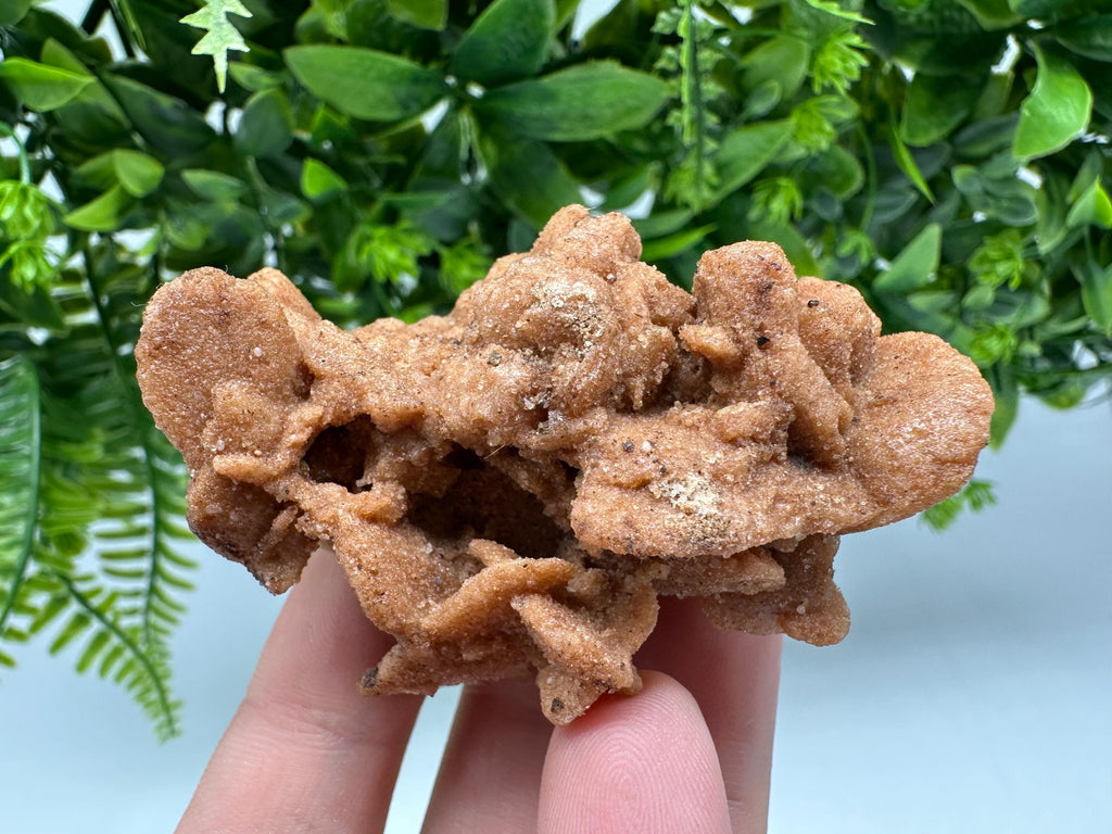 Natural Desert Rose Crystal - Root Chakra Healing Selenite Stone