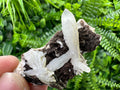 Quartz with Chlorite on Rhodochrosite and Siderite