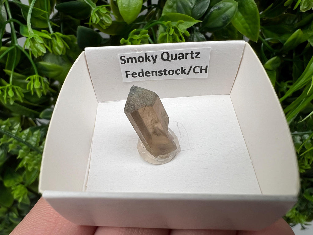 Rare Fedenstock Smoky Quartz Point, Swiss Mineral Specimen (20MM)
