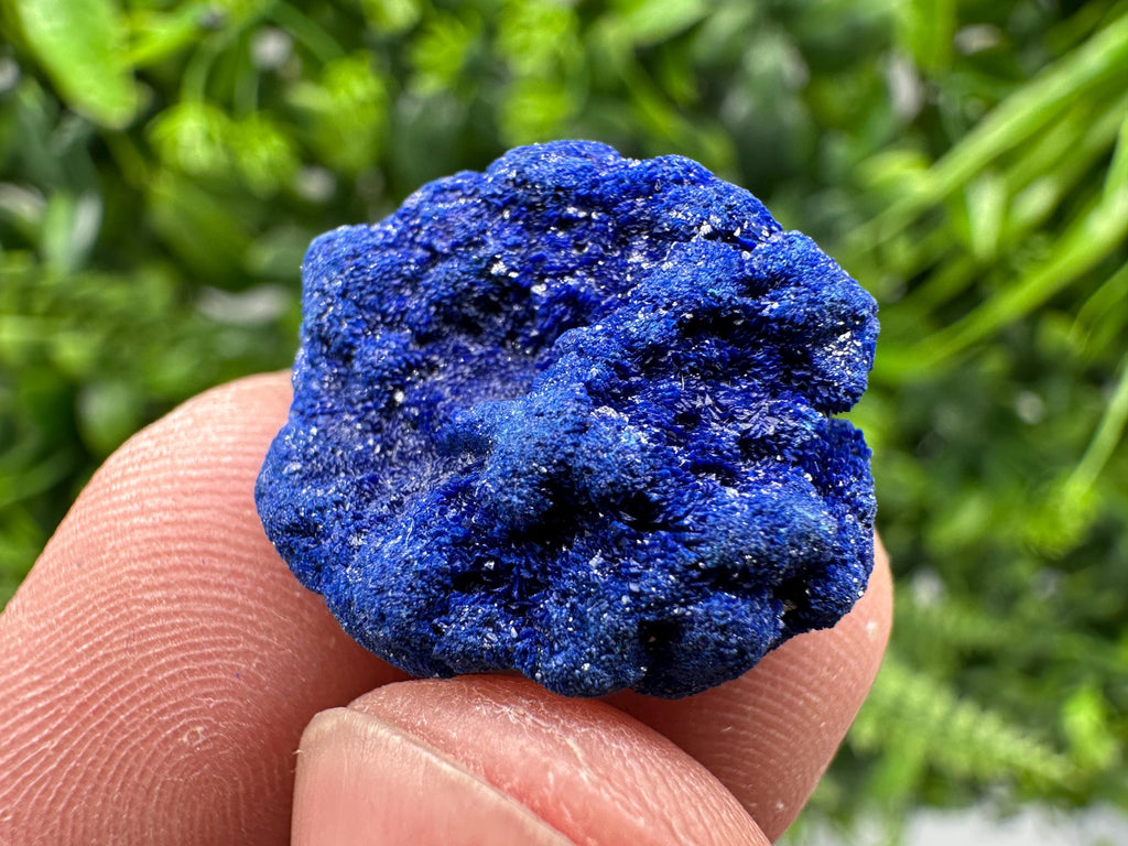 Crystallized Azurite-Kerrouchen,Morocco-Blue Azurite Specimen-High Quality Blue Azurite-Azurite Mineral Specimen, gemmy,lustrous of Azurite
