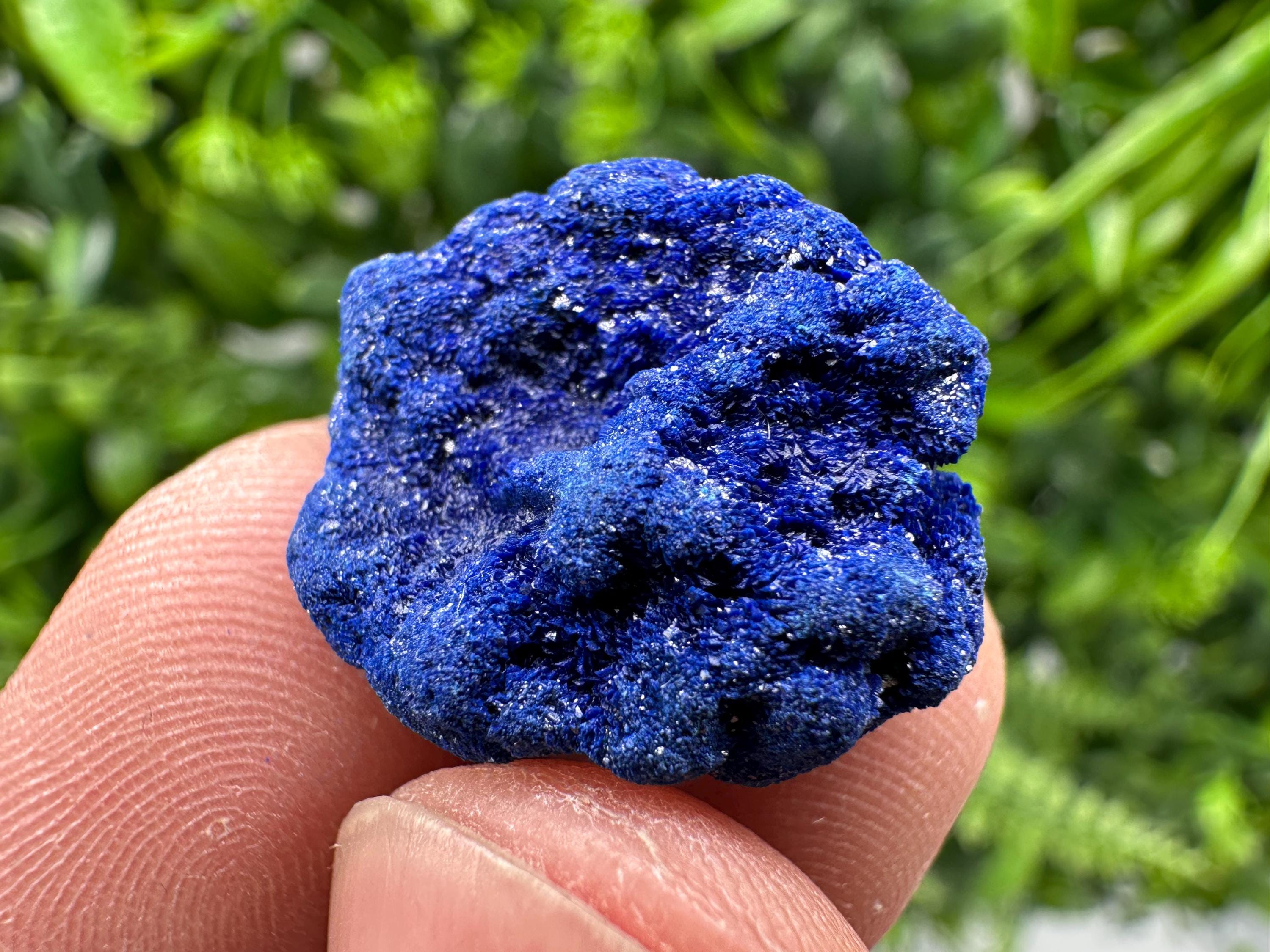 Crystallized Azurite-Kerrouchen,Morocco-Blue Azurite Specimen-High Quality Blue Azurite-Azurite Mineral Specimen, gemmy,lustrous of Azurite