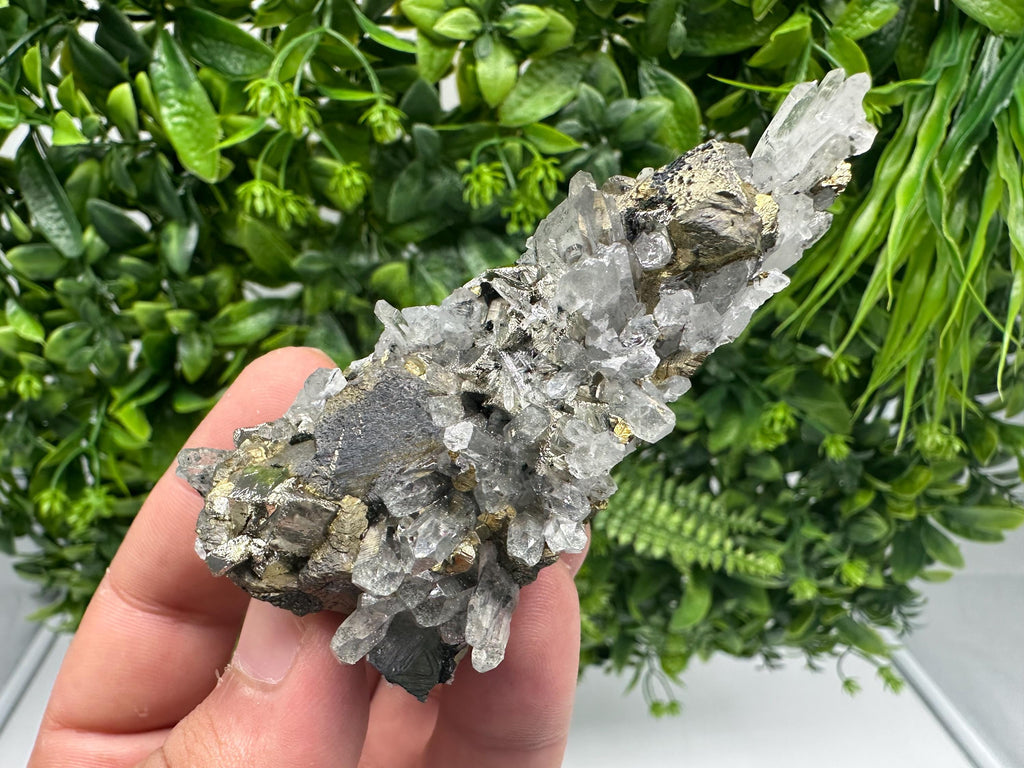 Stunning Chalcopyrite on Quartz,Chlorite From Djurcovo mine,Laki,Bulgaria,Natural,Collection mineral specimen,Home decor stone,Collection
