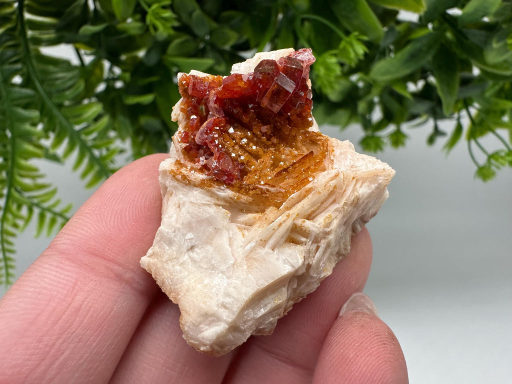 Red Vanadinite on Barite from Marocco,crystal minerals Speciment cluster Vanadinite crystal Vanadinite Geology Vanadinite cluster minerals