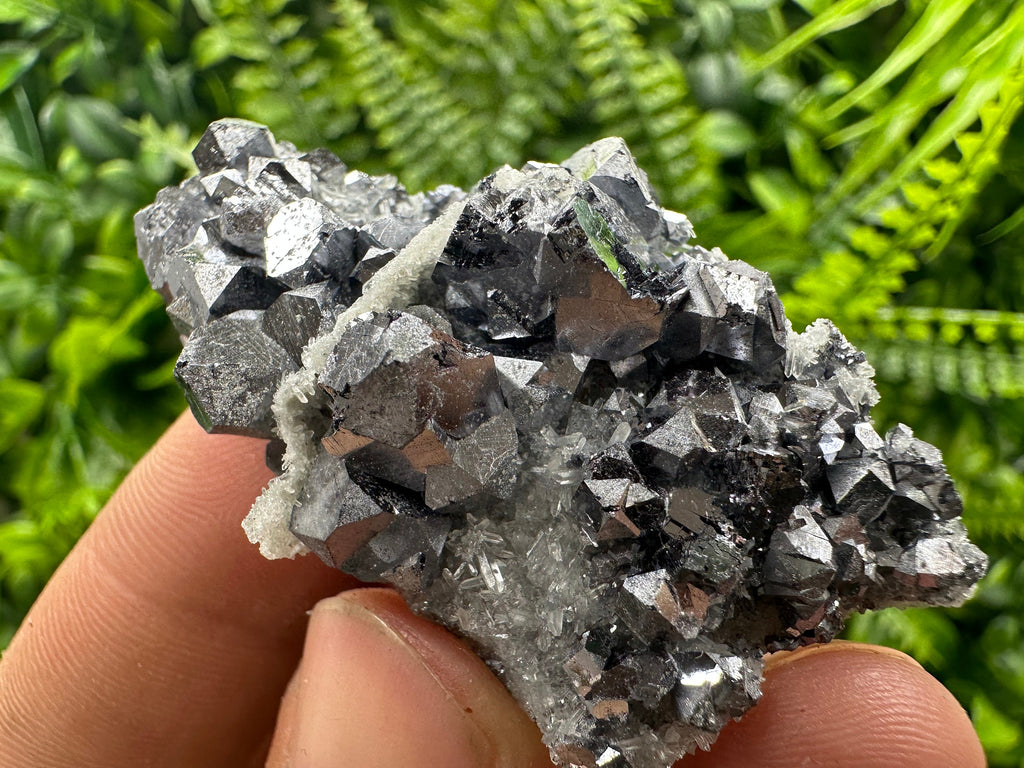 Shiny Galena on Quartz: Natural Mineral Souvenir from Bulgaria