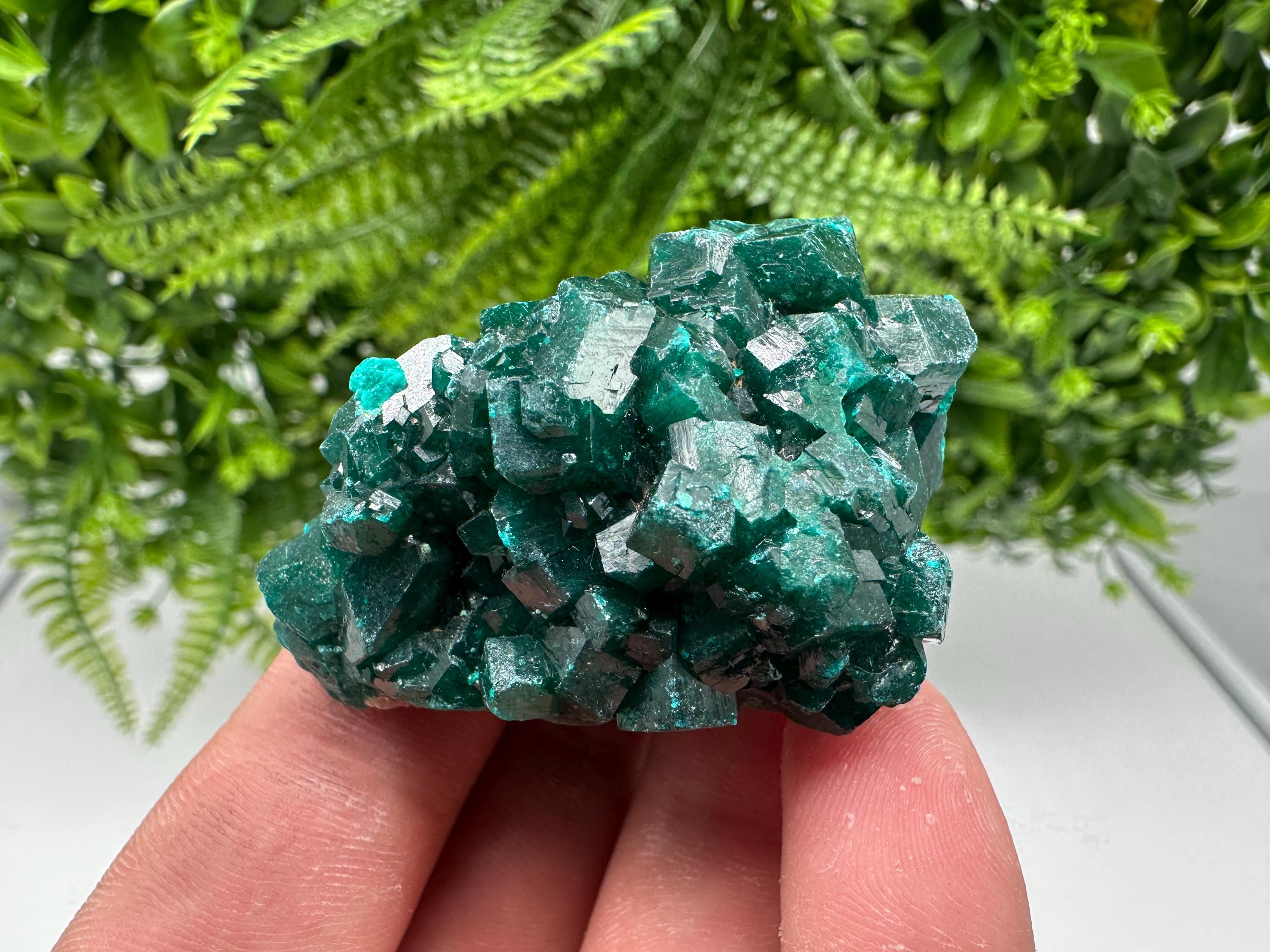 Stunning Green Dioptase from Sanda Hills,Mindouli,Pool Department,Mindouli District,Congo,green Dioptase,Dioptas Crystal,Dioptase collecting