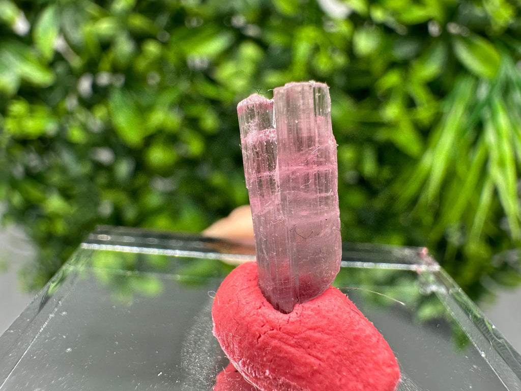 Rare Pink & Green Rubellite Tourmaline Pencil - 15mm