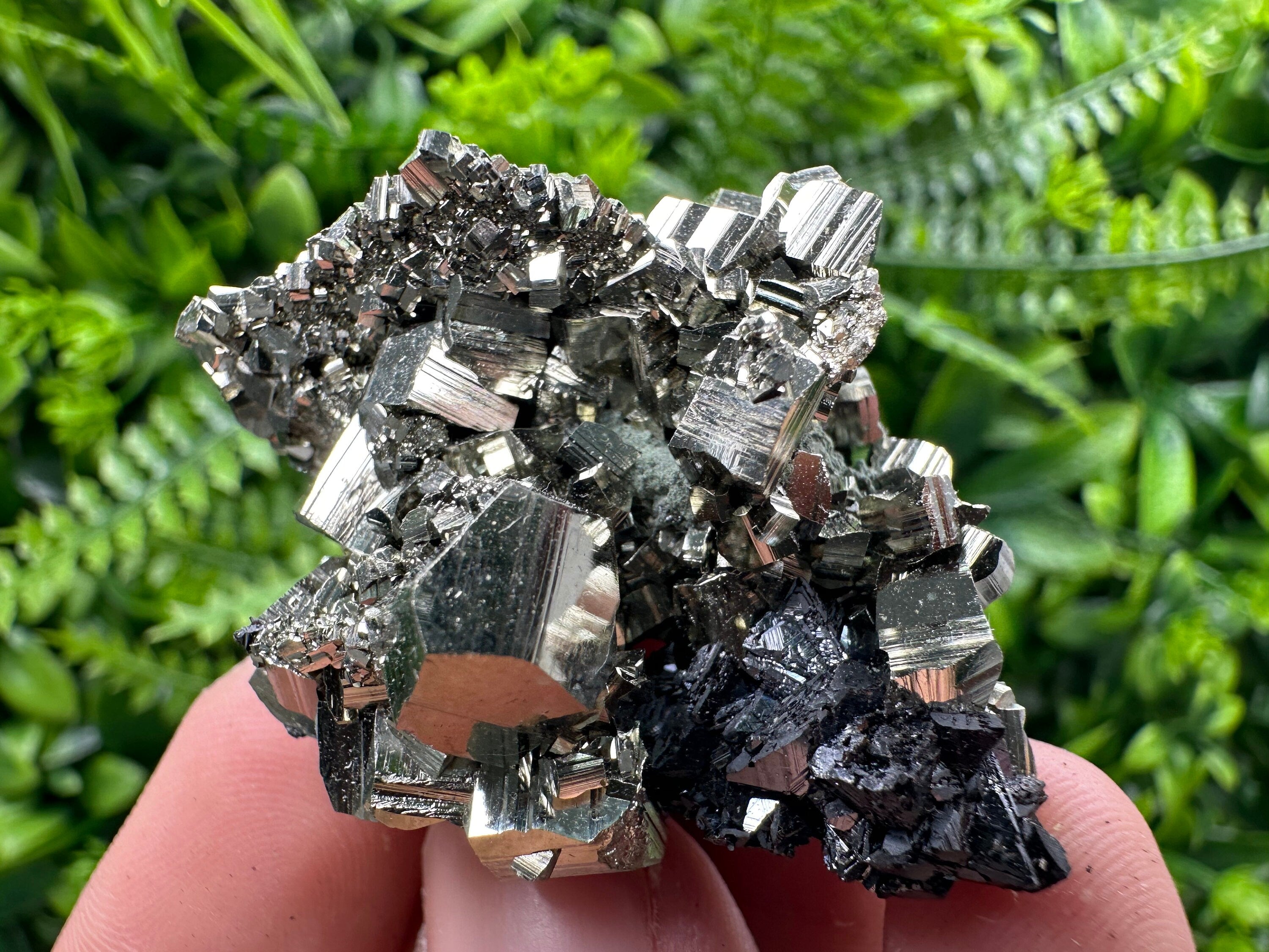 Golden Pyrite with Sphalerite Mineral Specimen, Borieva Mine, Bulgaria