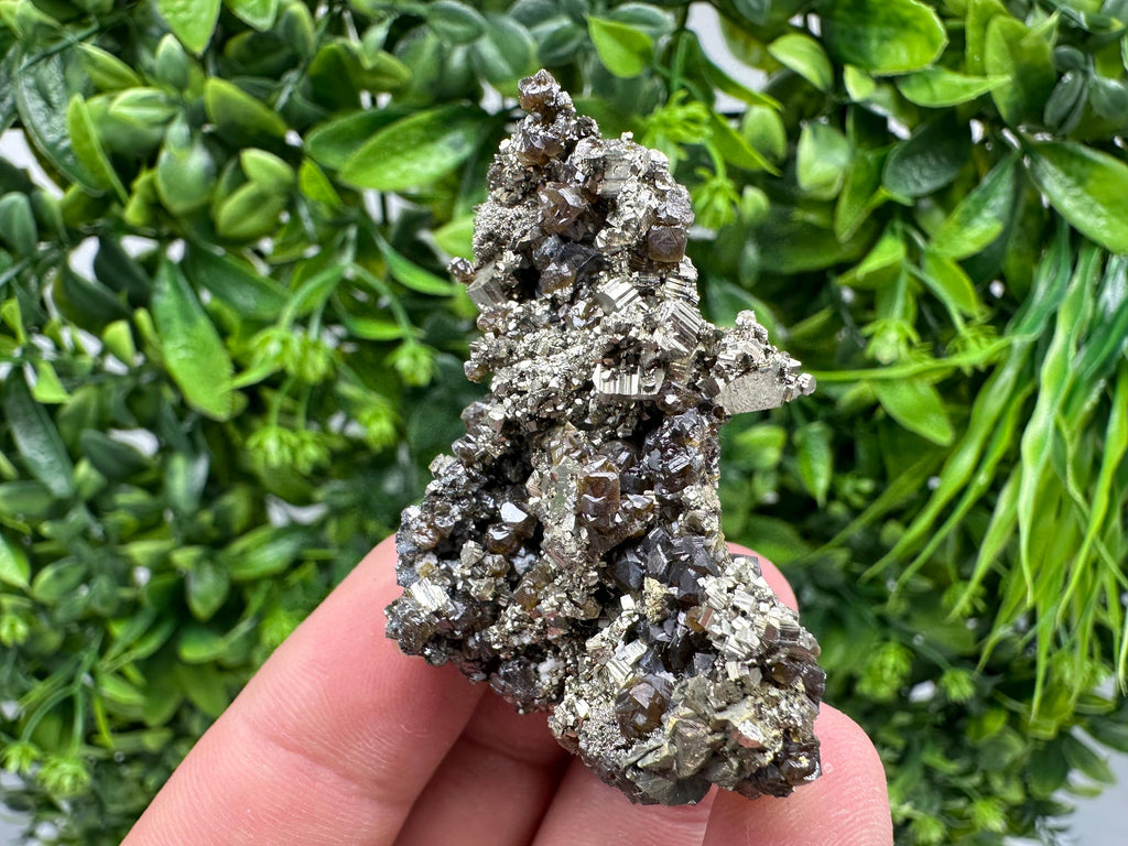 Sphalerite GEM Cleiopfane on Pyrite, Rare Crystal Mineral Stone