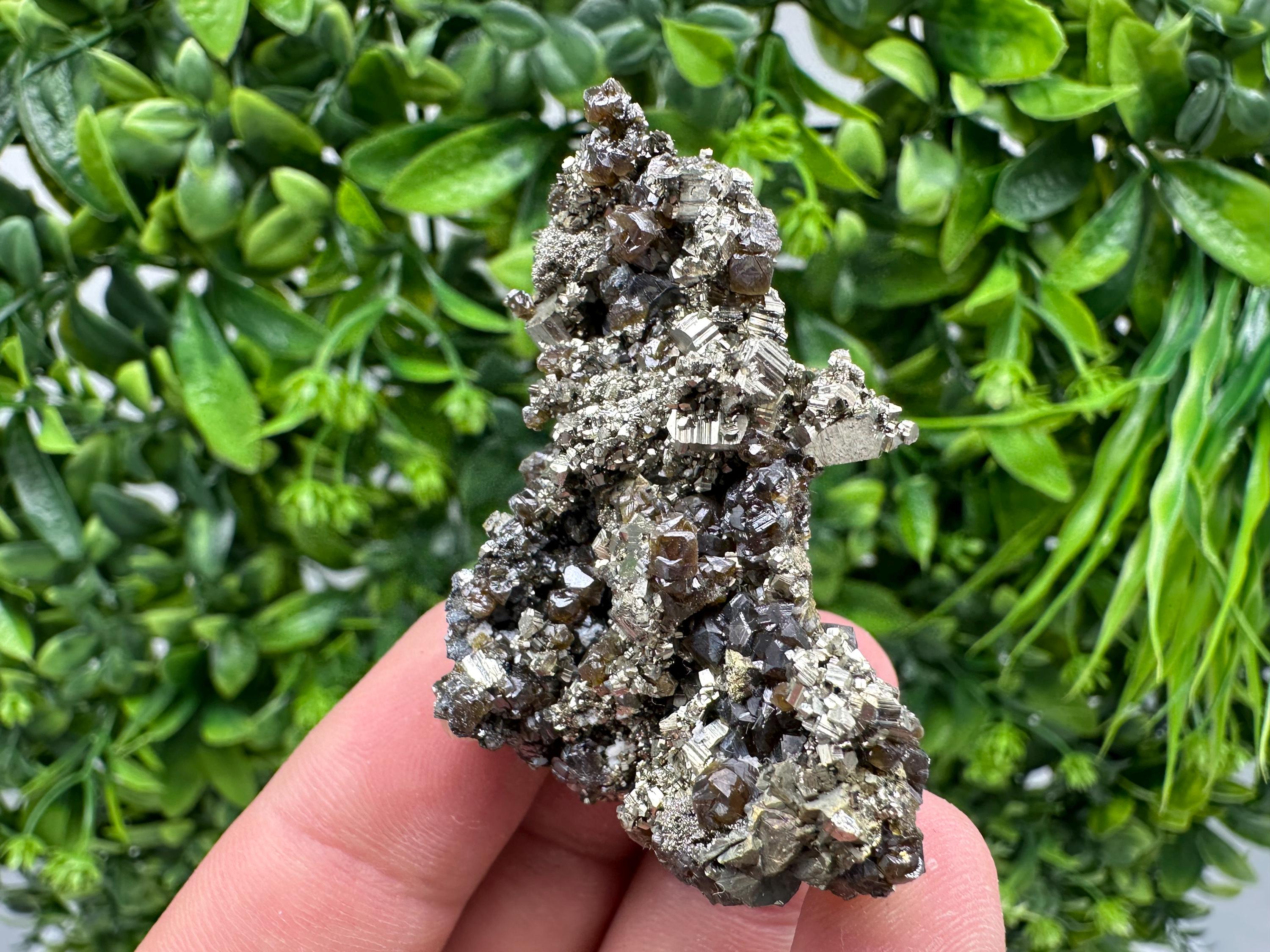 Sphalerite GEM Cleiopfane on Pyrite, Rare Crystal Mineral Stone