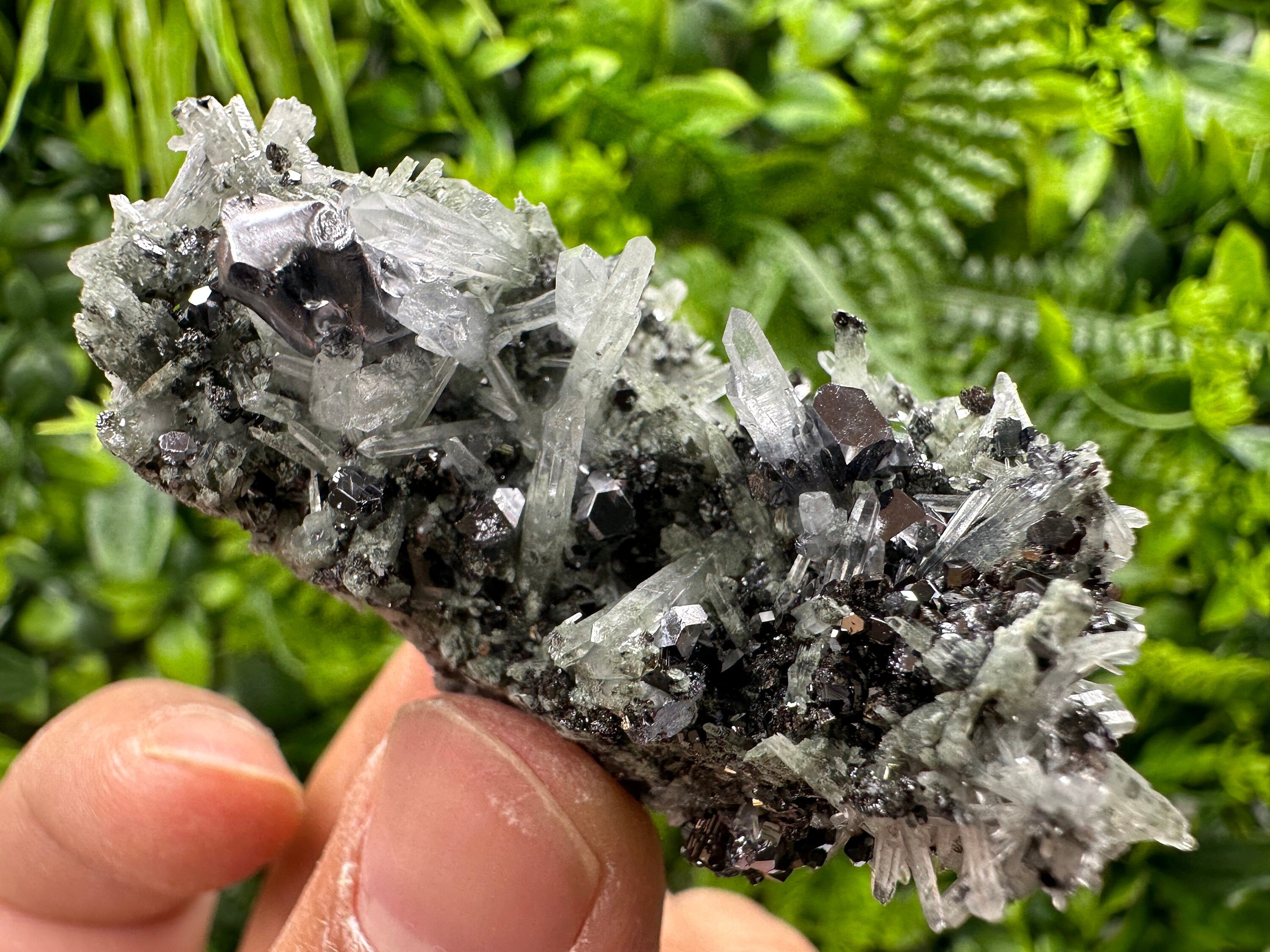 Galena with Sphalerite on Green Quartz - Madan Bulgaria Crystal