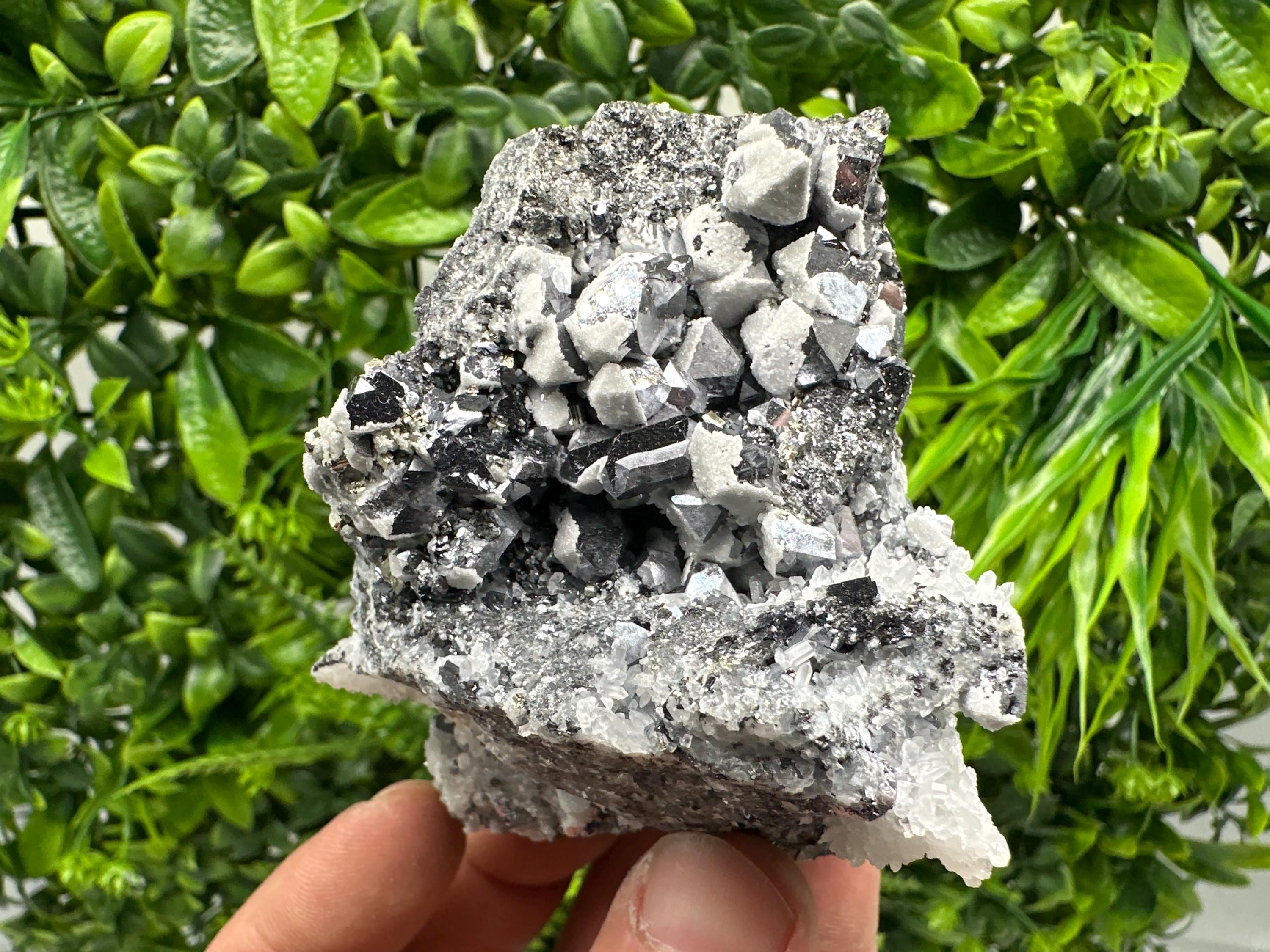 Skeletal Galena Mineral Specimen, Drujba Mine Bulgaria