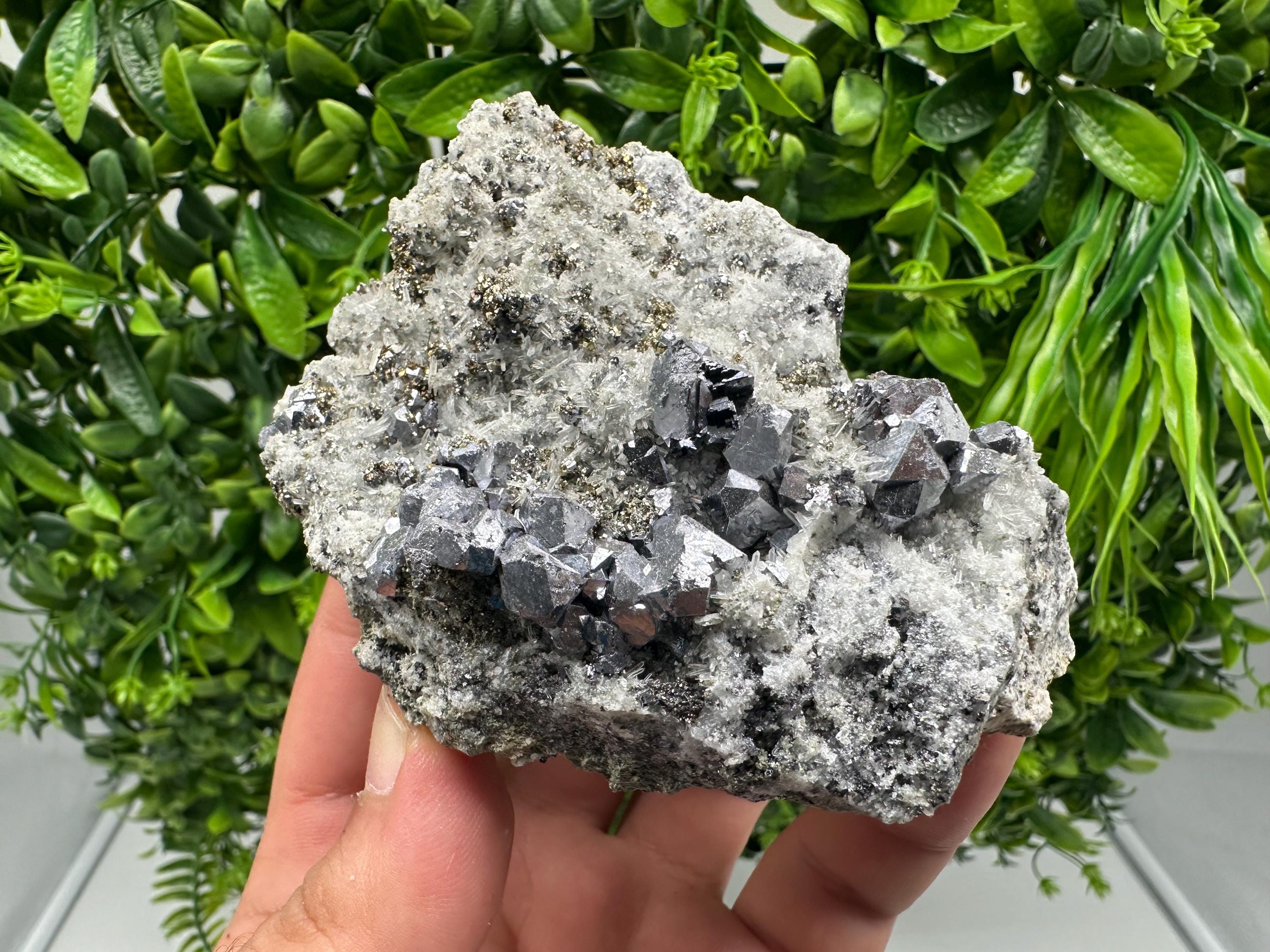 Galena Sphalerite Pyrite on Quartz: Borieva Mine Mineral Cluster