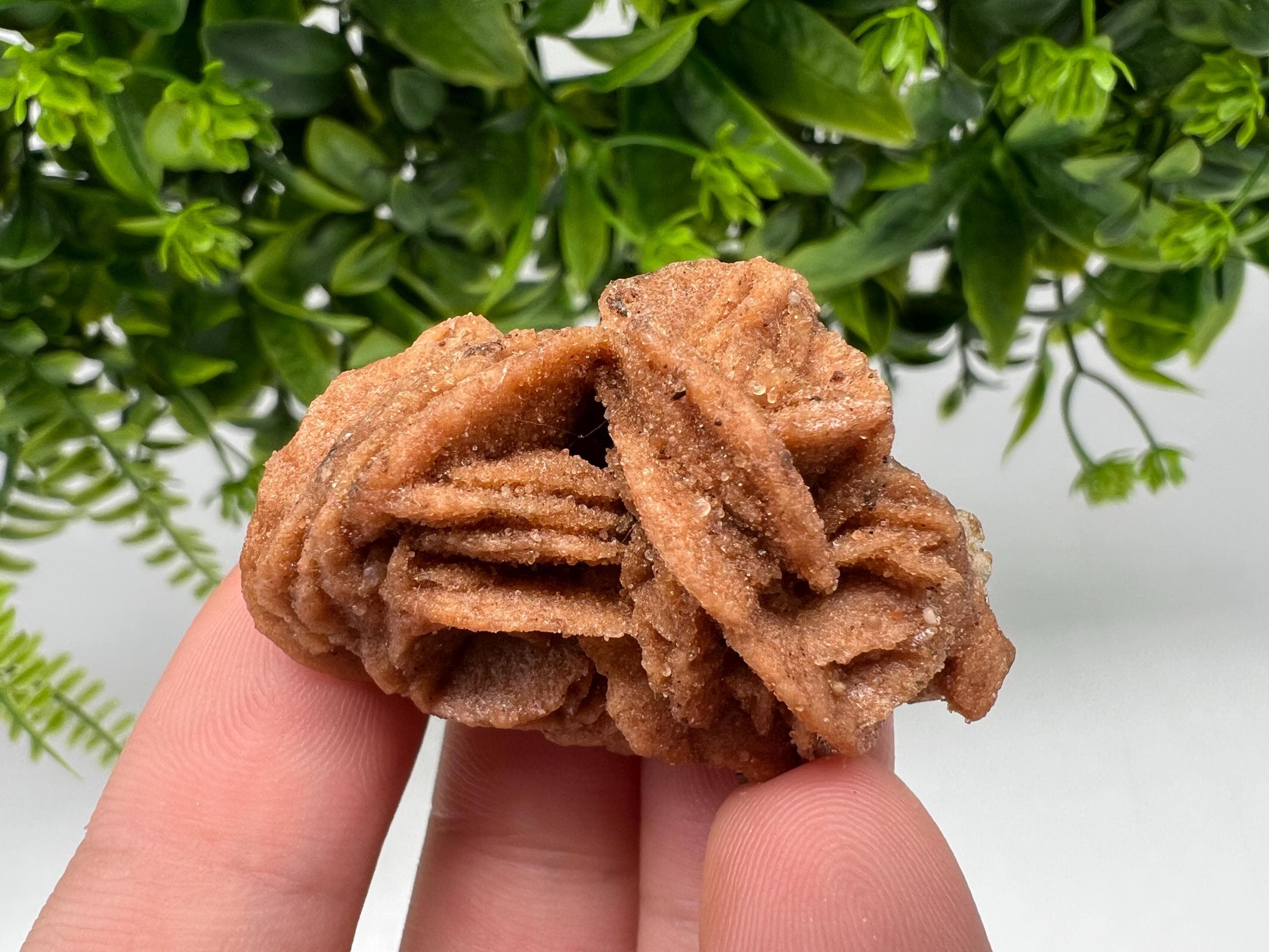 Desert Rose Crystal: Root Chakra Healing Selenite Stone